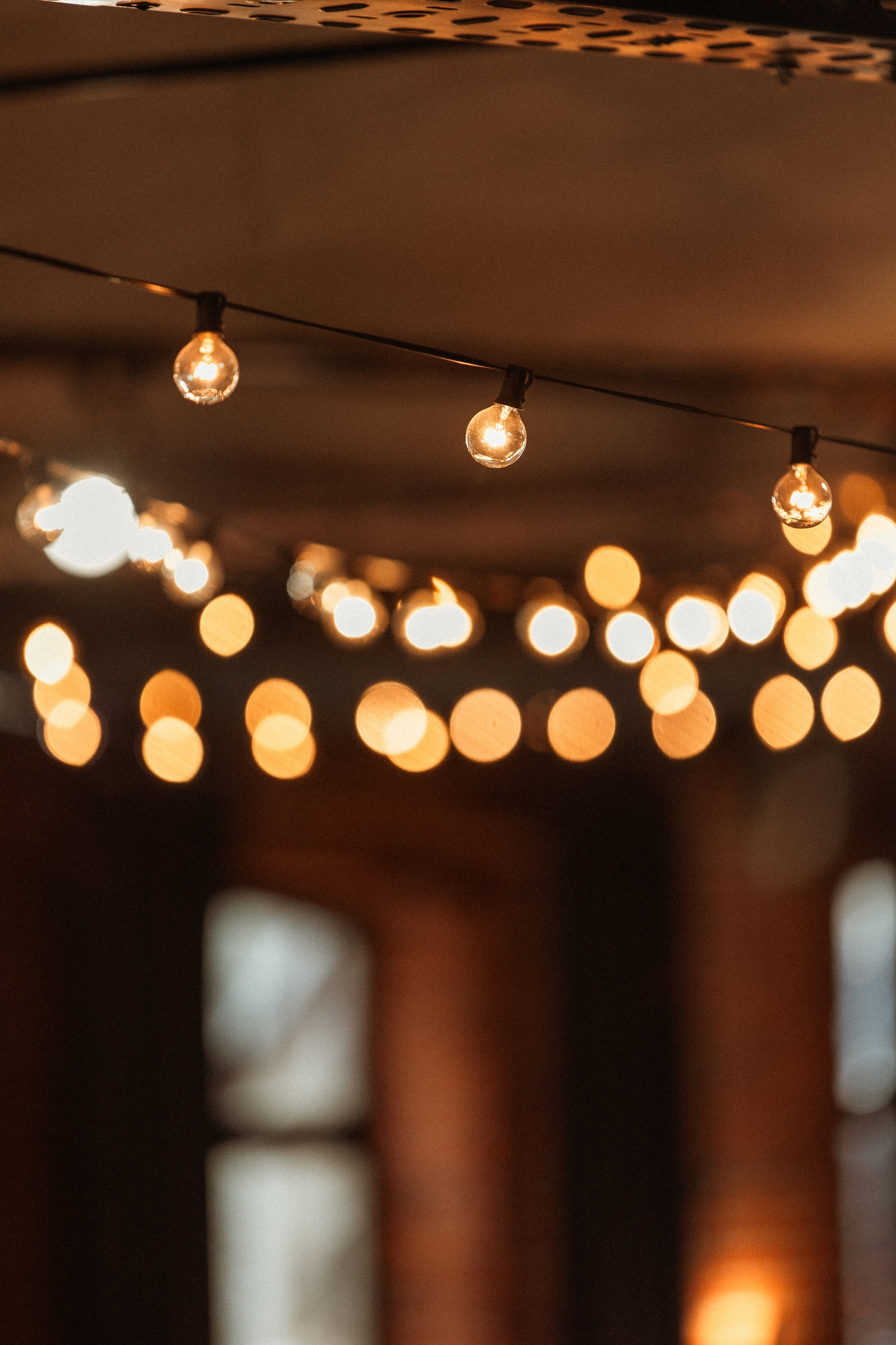 CBcon. Фотограф анималист в Москве Майорова Евгения