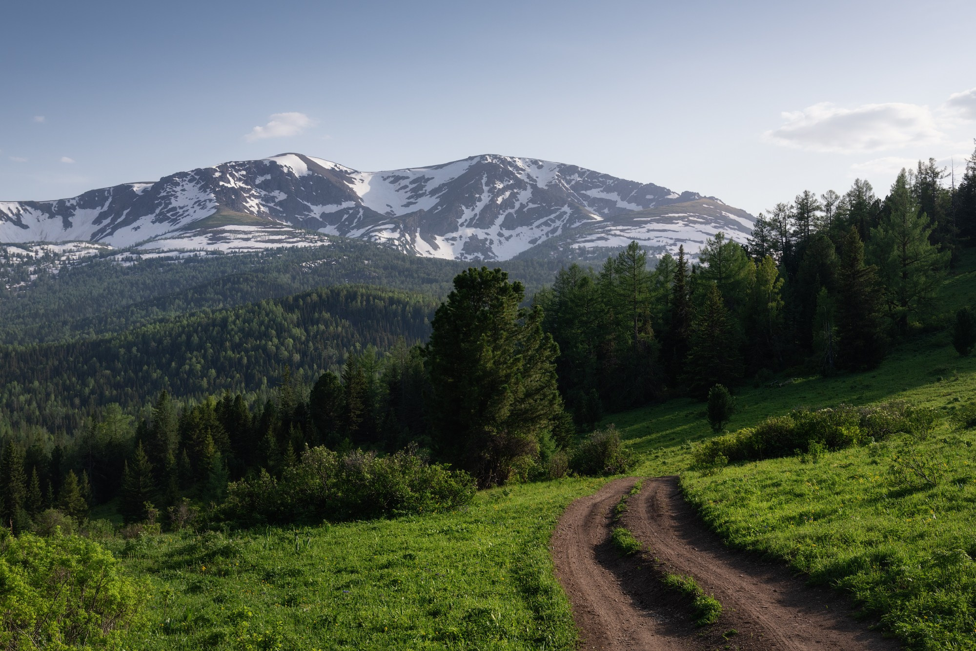 Весенняя Красная гора. Усть-Коксинский район, май 2022
