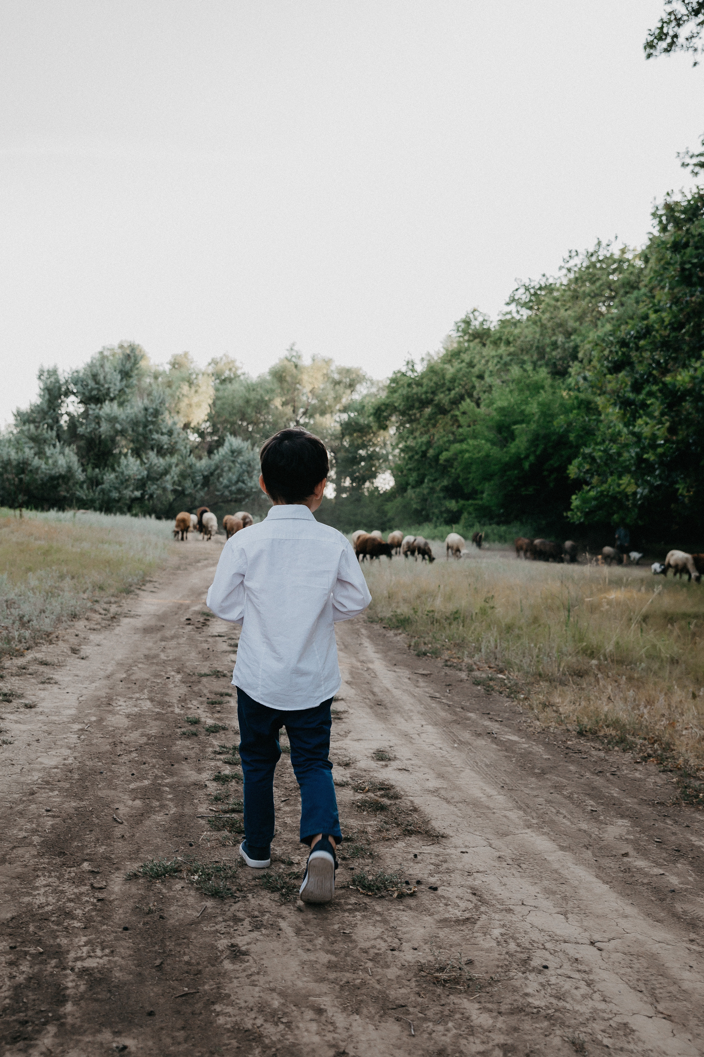Семейная фотосессия в Волгограде. Свадебный и семейный фотограф в Волгограде Кристина Иванова