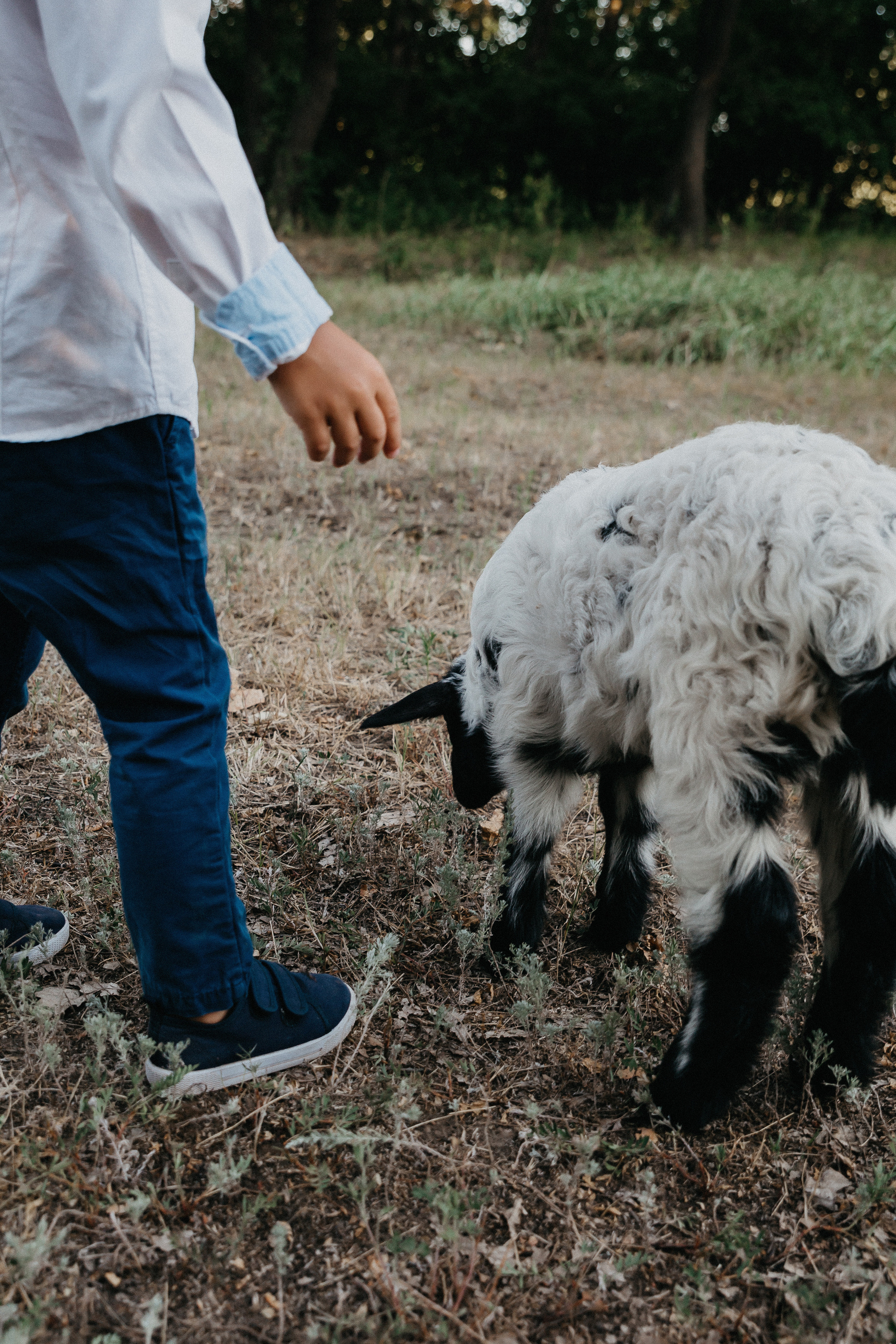 Семейная фотосессия в Волгограде. Свадебный и семейный фотограф в Волгограде Кристина Иванова