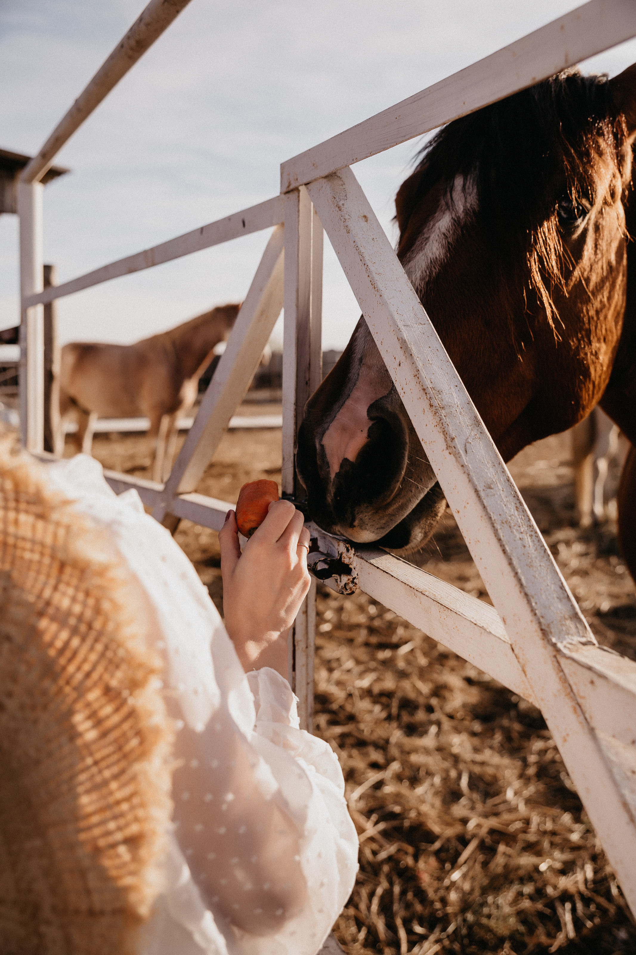 Фотосессия беременной Волгоград. Свадебный и семейный фотограф в Волгограде Кристина Иванова