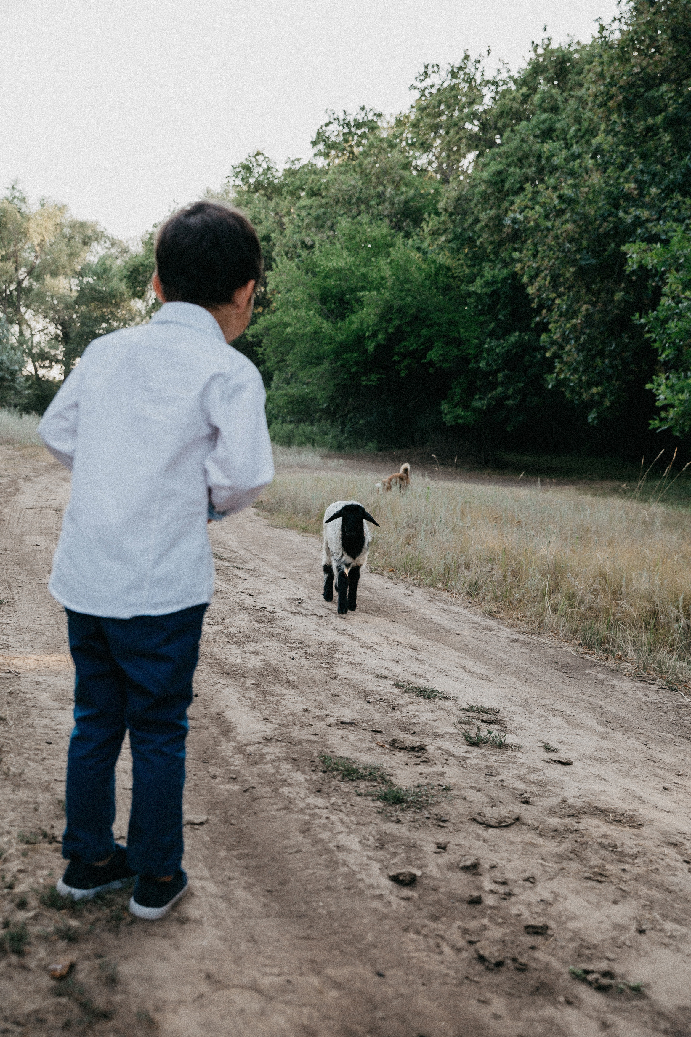 Семейная фотосессия в Волгограде. Свадебный и семейный фотограф в Волгограде Кристина Иванова