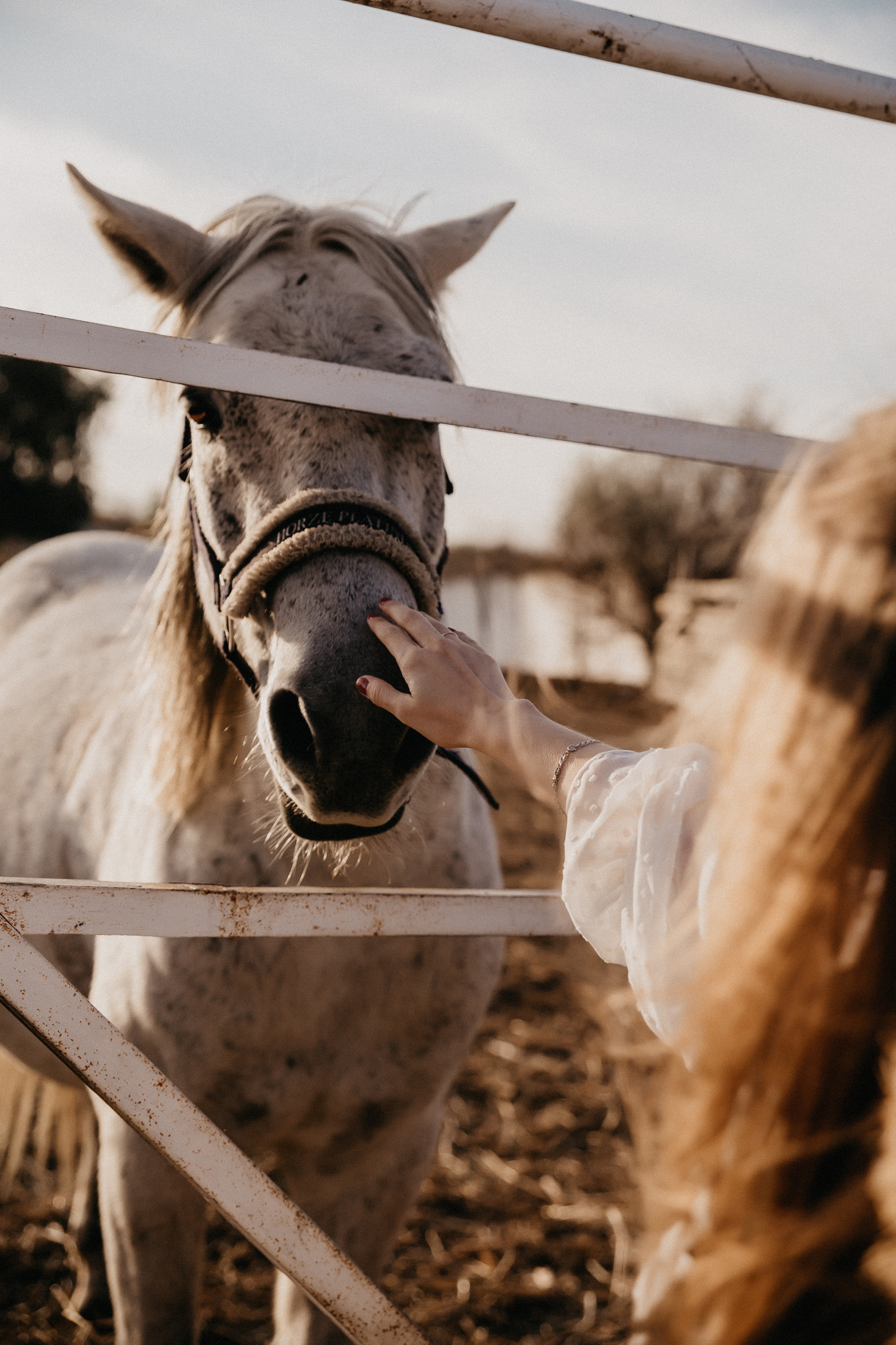 Фотосессия беременной Волгоград. Свадебный и семейный фотограф в Волгограде Кристина Иванова