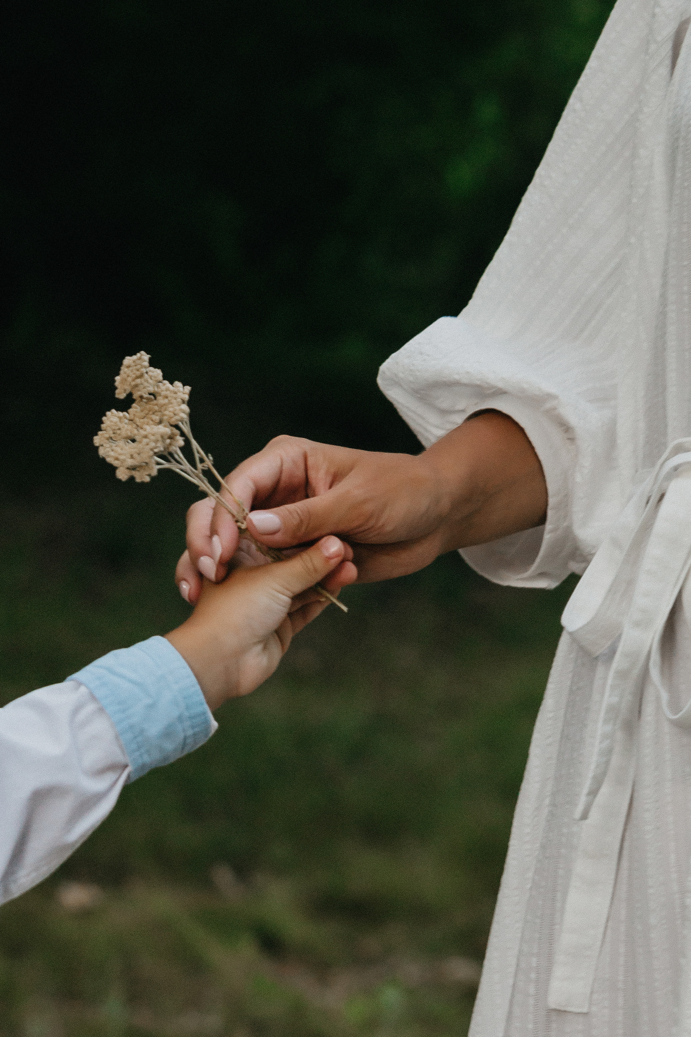 Семейная фотосессия в Волгограде. Свадебный и семейный фотограф в Волгограде Кристина Иванова