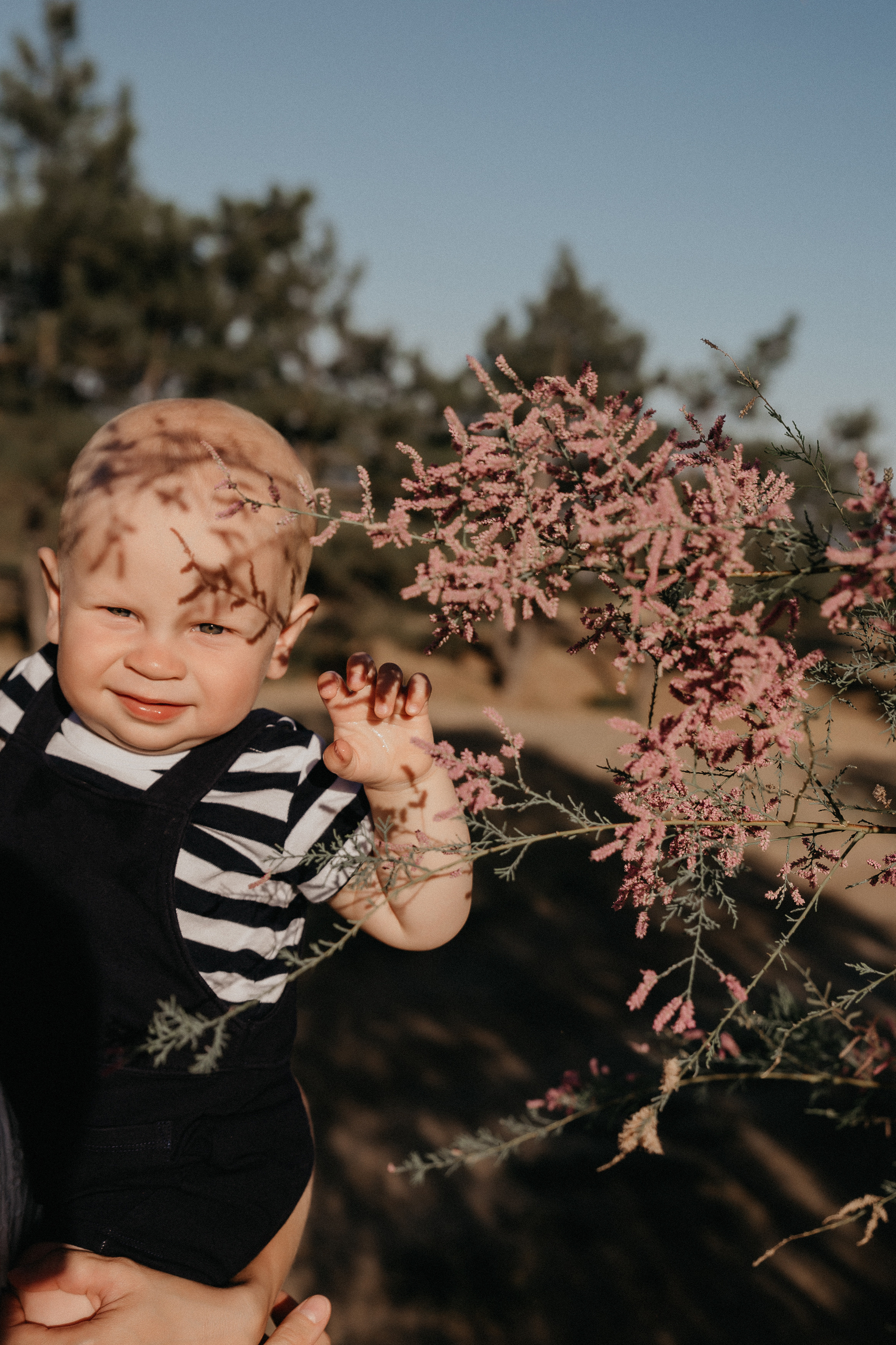 Семейная фотосессия Волгоград. Свадебный и семейный фотограф в Волгограде Кристина Иванова