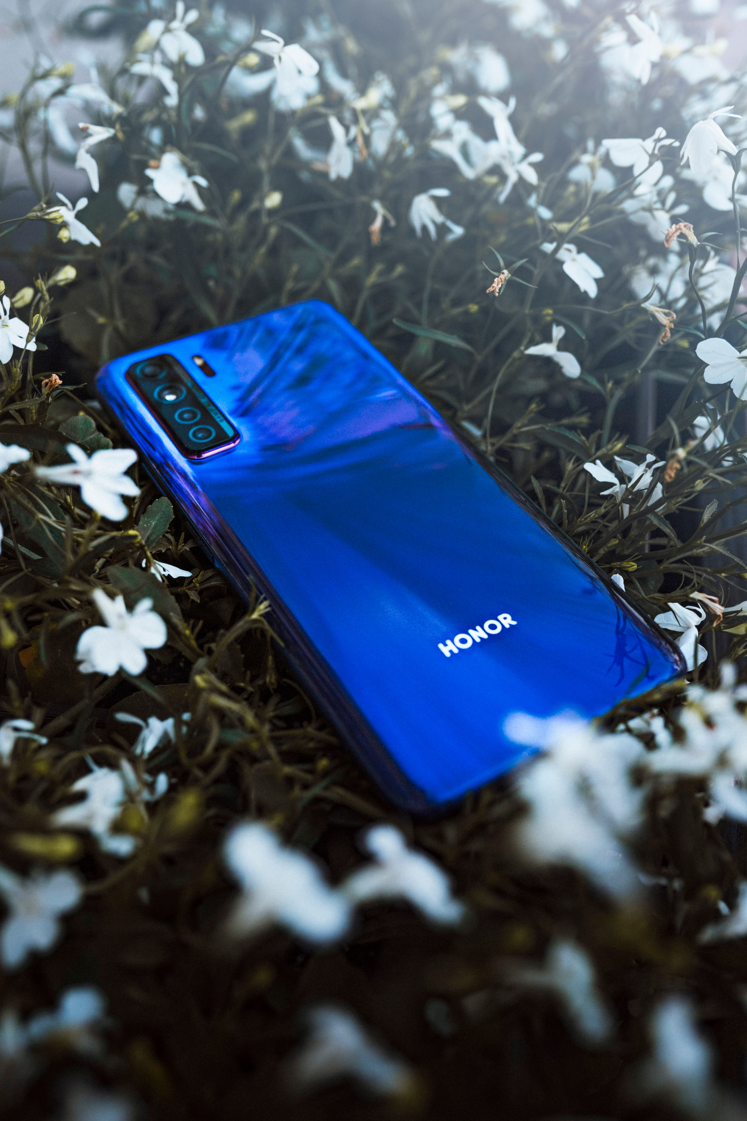 Honor. Фотограф в Санкт-Петербурге