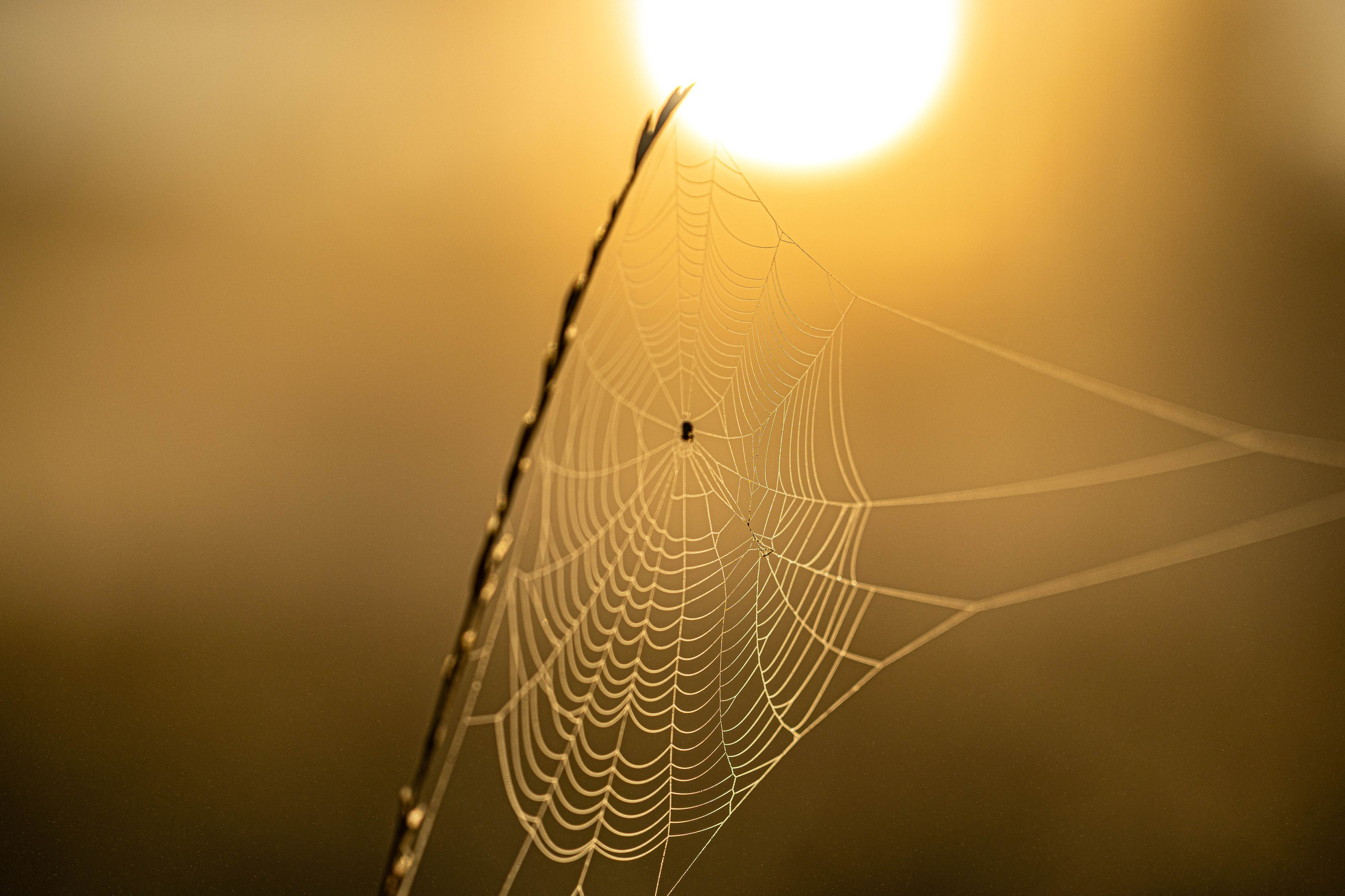 АЛЕКСЕЙ КОЛМАКОВ. Фотограф. Москва и Московская область
