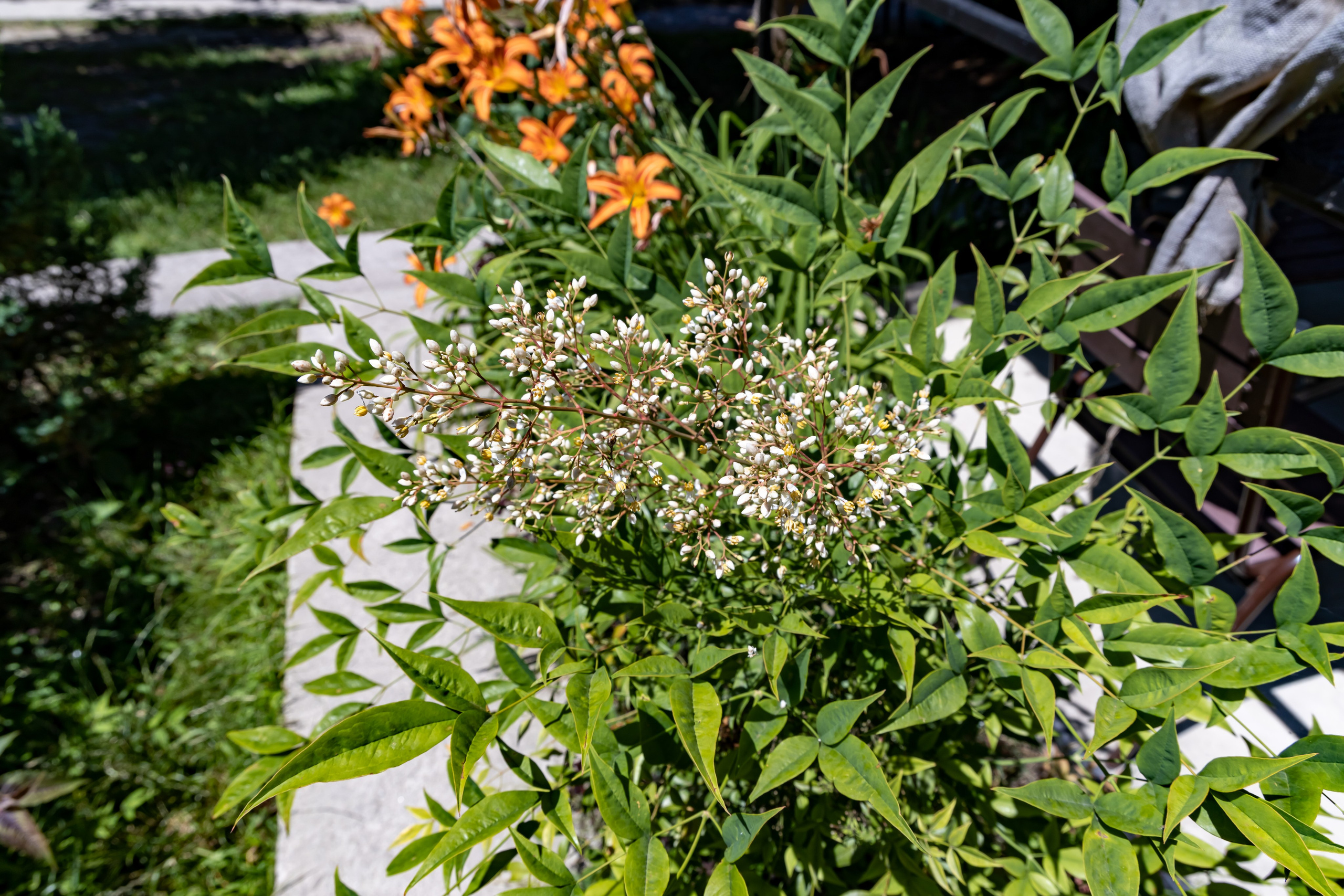 Сочи. Солох Аул. Репортажный, семейный и студийный фотограф в Москве Демин Алексей