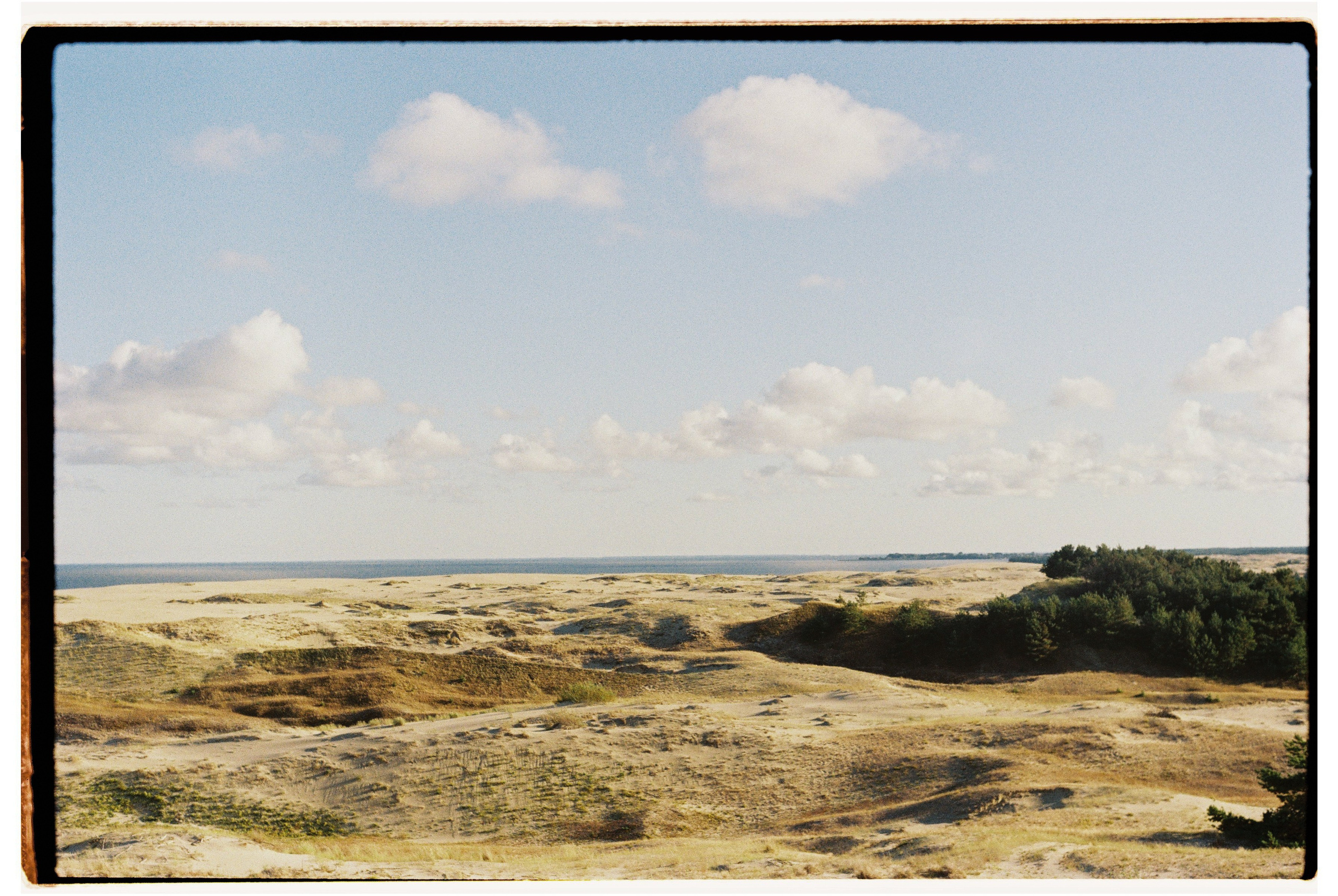 Калининградская область и Санкт-Петербруг | 2024. Портретный фотограф | Олеся Комарова | Екатеринбург