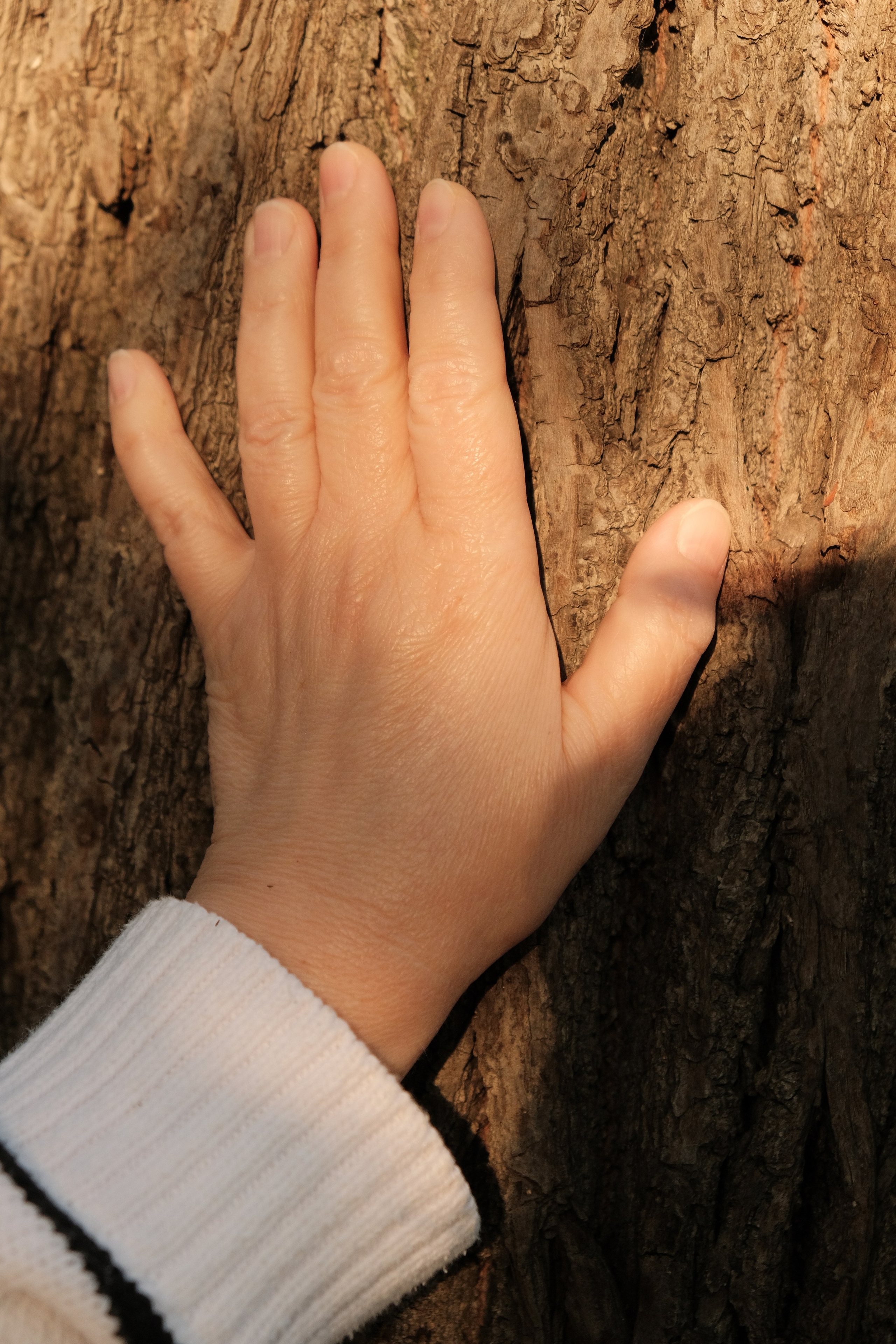 Татьяна. Фотограф в Москве | Екатерина Кондрашова