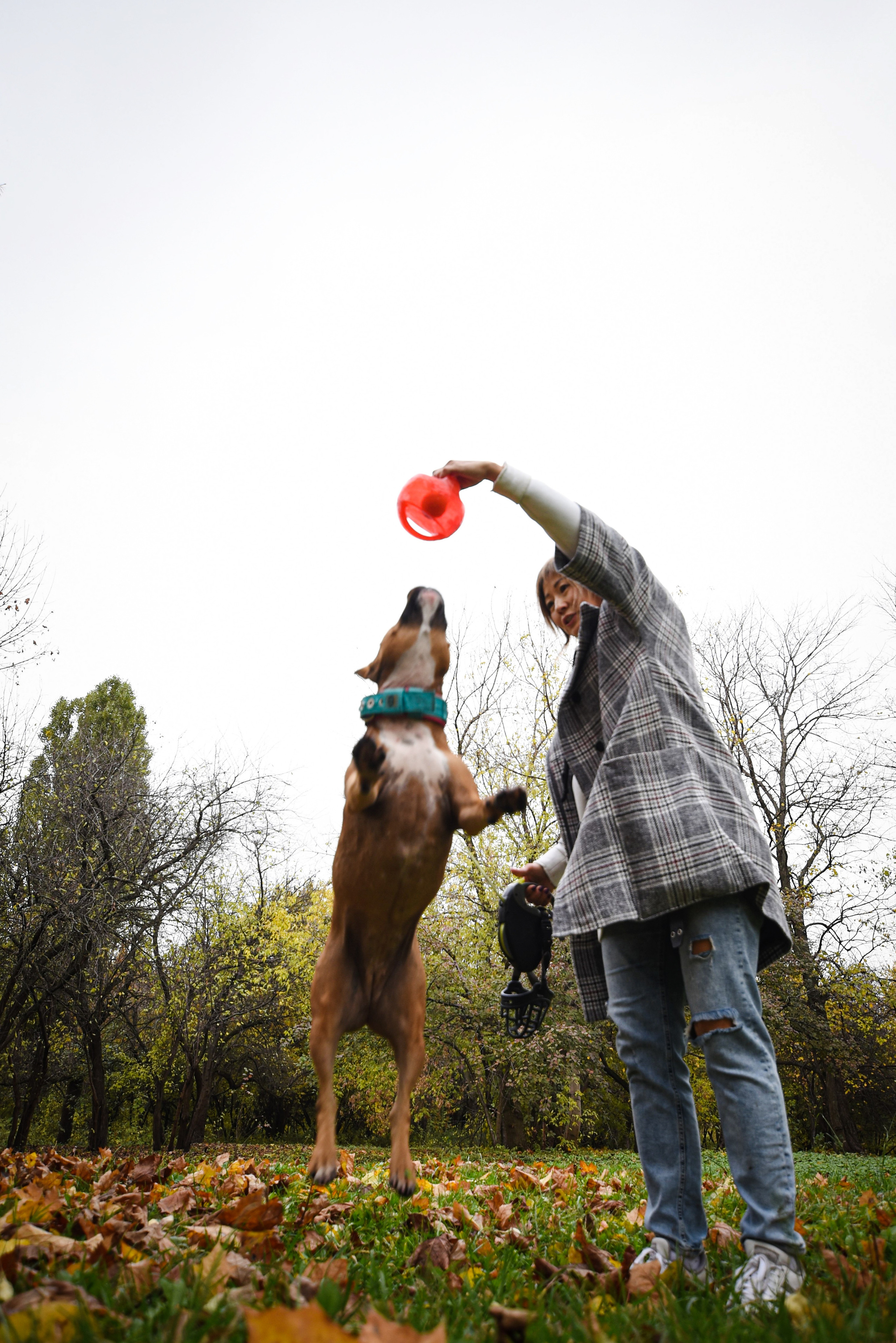 Съемка на природе. Фотопрогулка с животными. Женский и семейный фотограф Людмила Богачкина