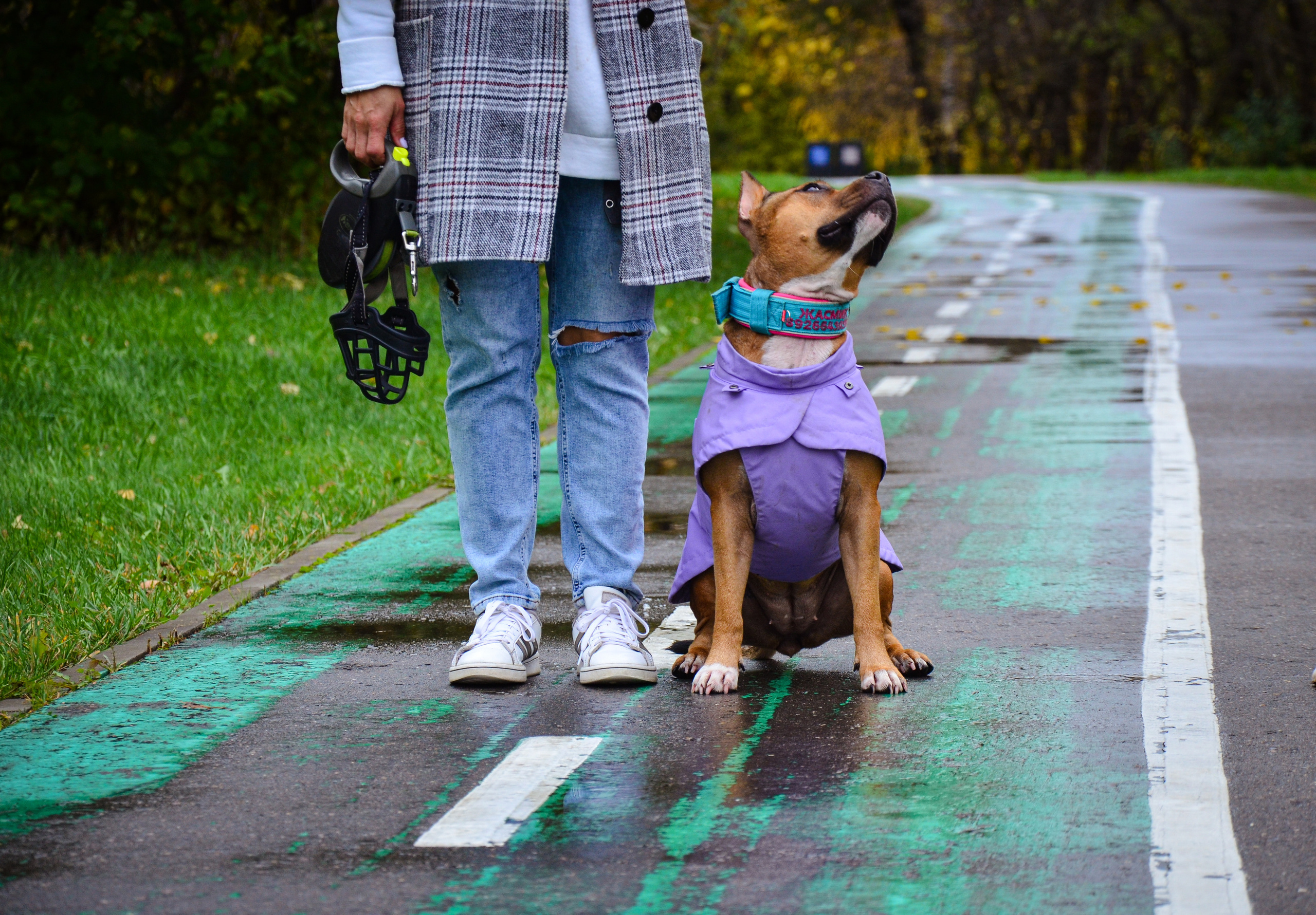 Съемка на природе. Фотопрогулка с животными. Женский и семейный фотограф Людмила Богачкина