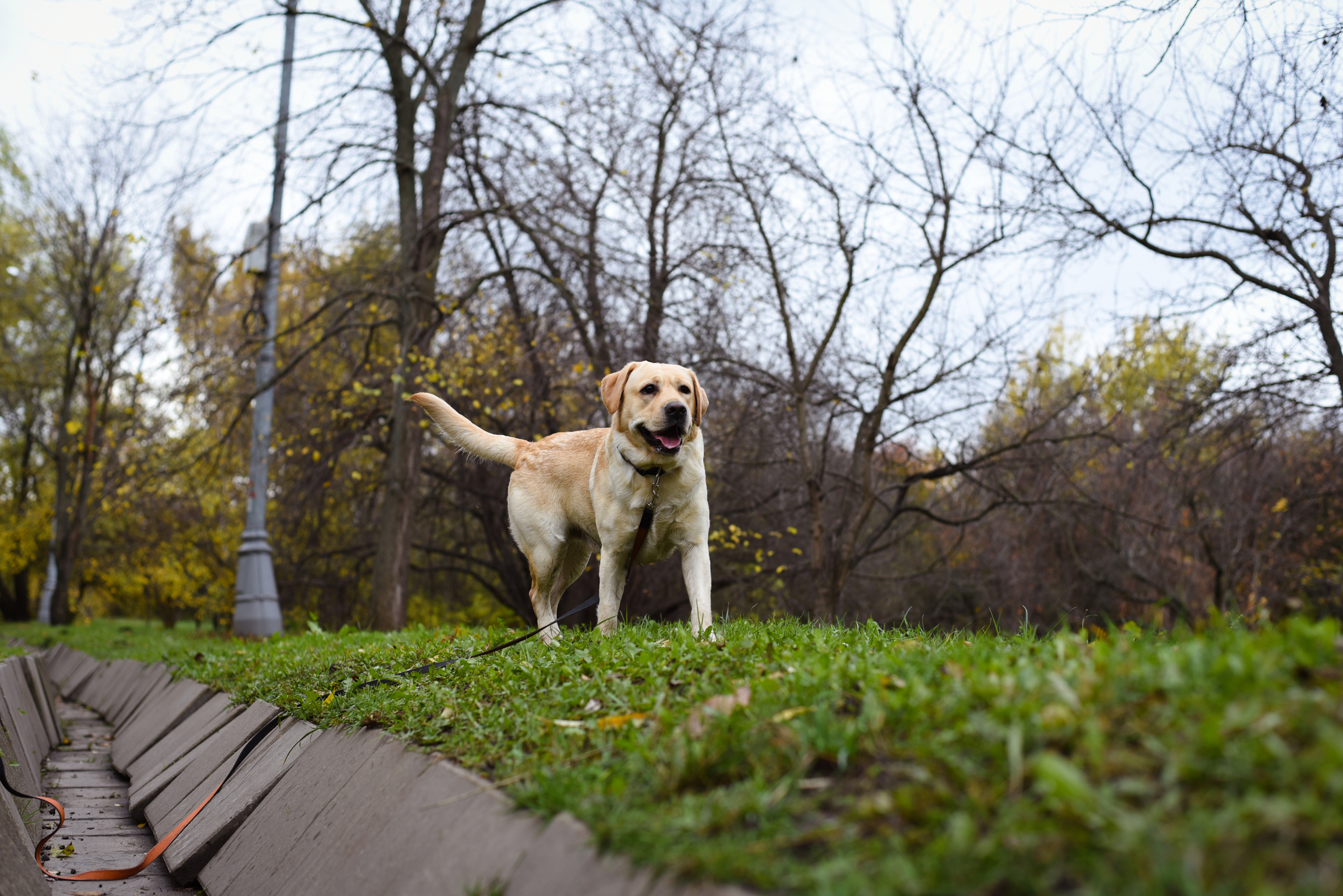 Фотопрогулка в парке с животными. Женский и семейный фотограф Людмила Богачкина