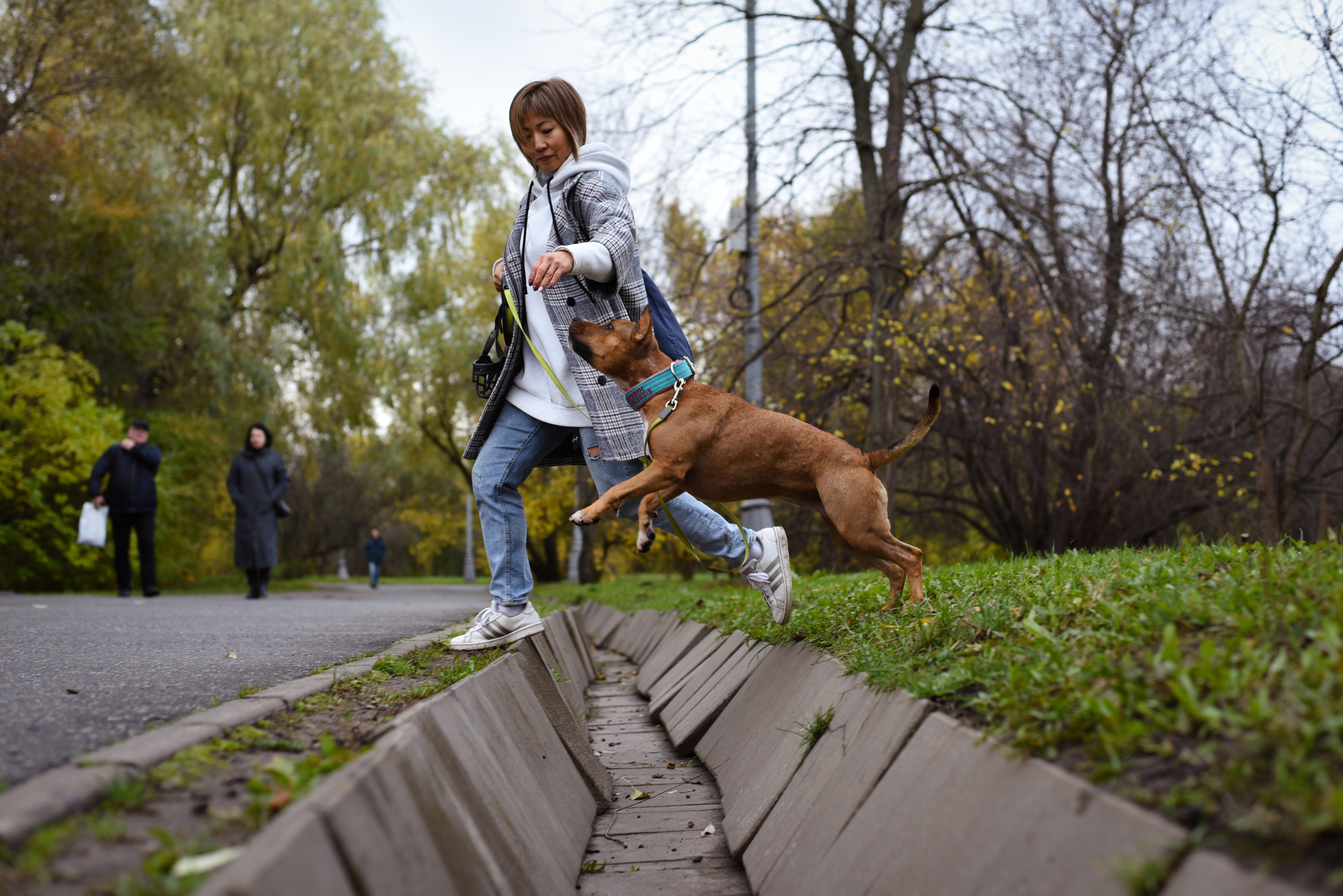 Съемка на природе. Фотопрогулка с животными. Женский и семейный фотограф Людмила Богачкина
