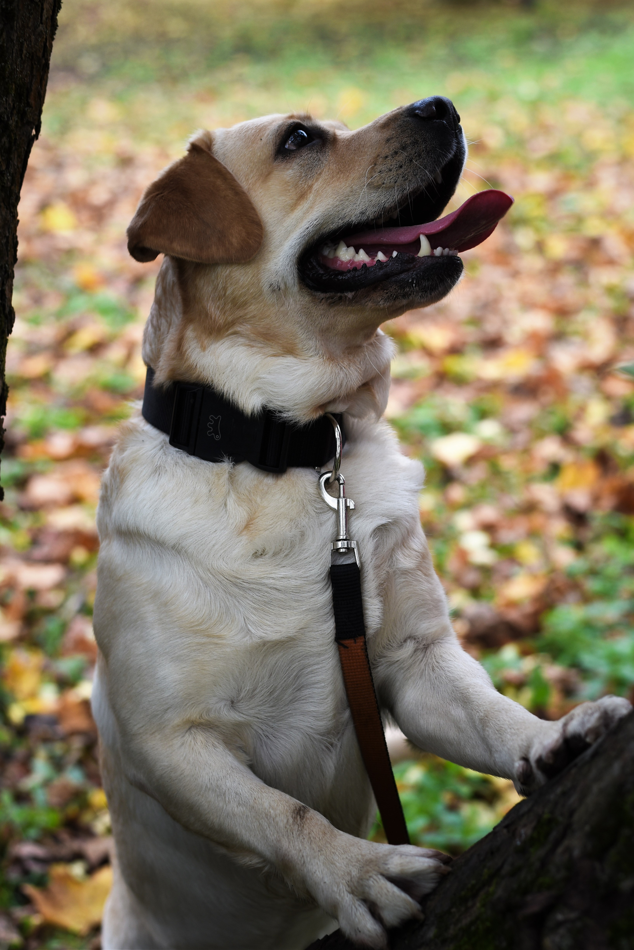 Фотопрогулка в парке с животными. Женский и семейный фотограф Людмила Богачкина