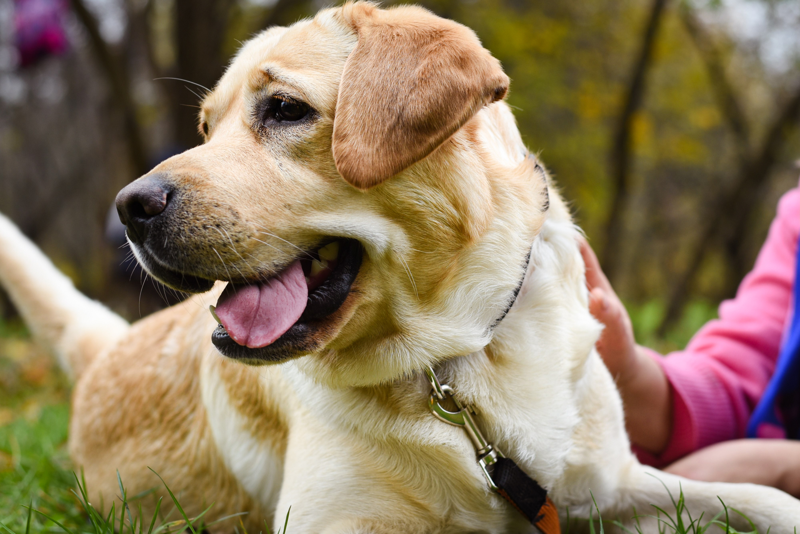 Фотопрогулка в парке с животными. Женский и семейный фотограф Людмила Богачкина