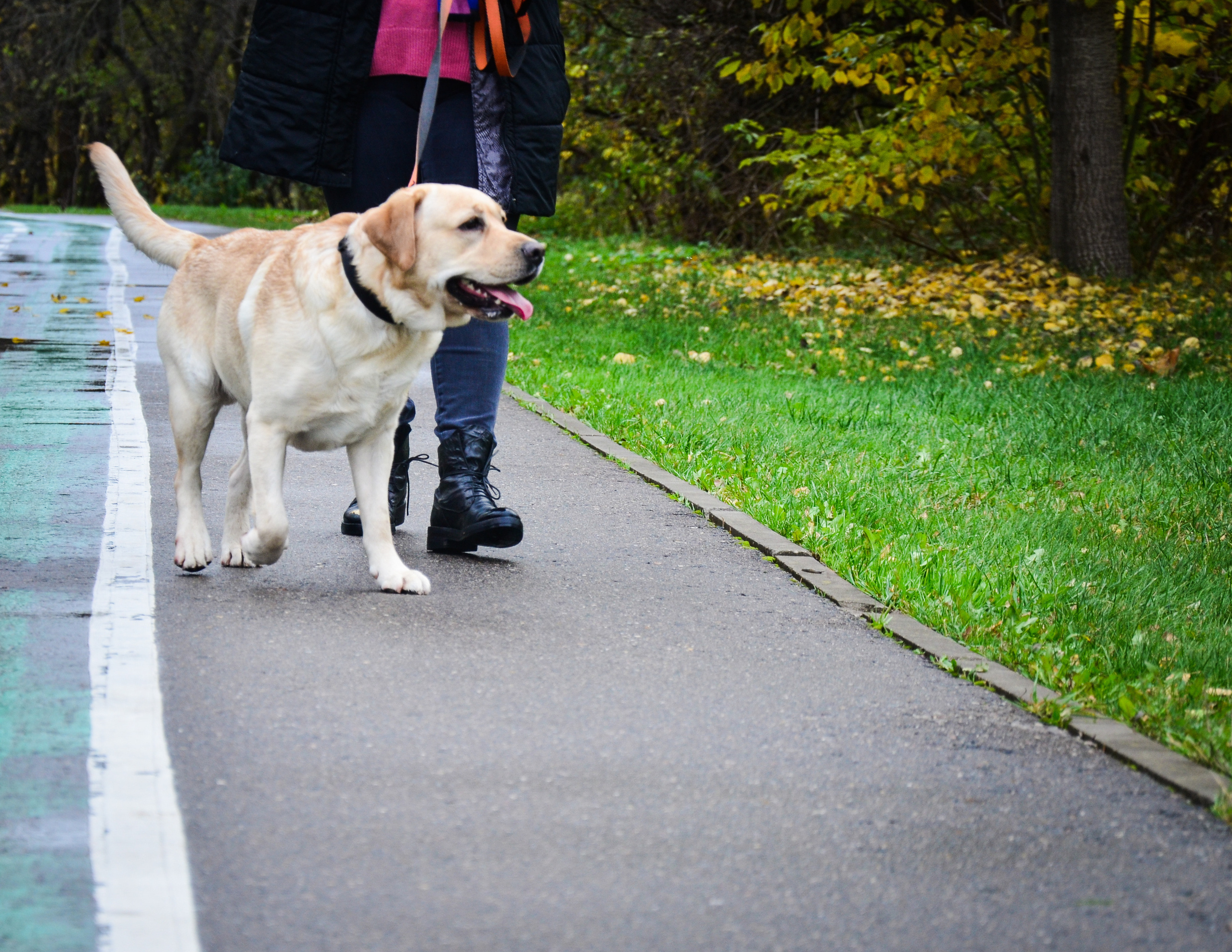 Фотопрогулка в парке с животными. Женский и семейный фотограф Людмила Богачкина