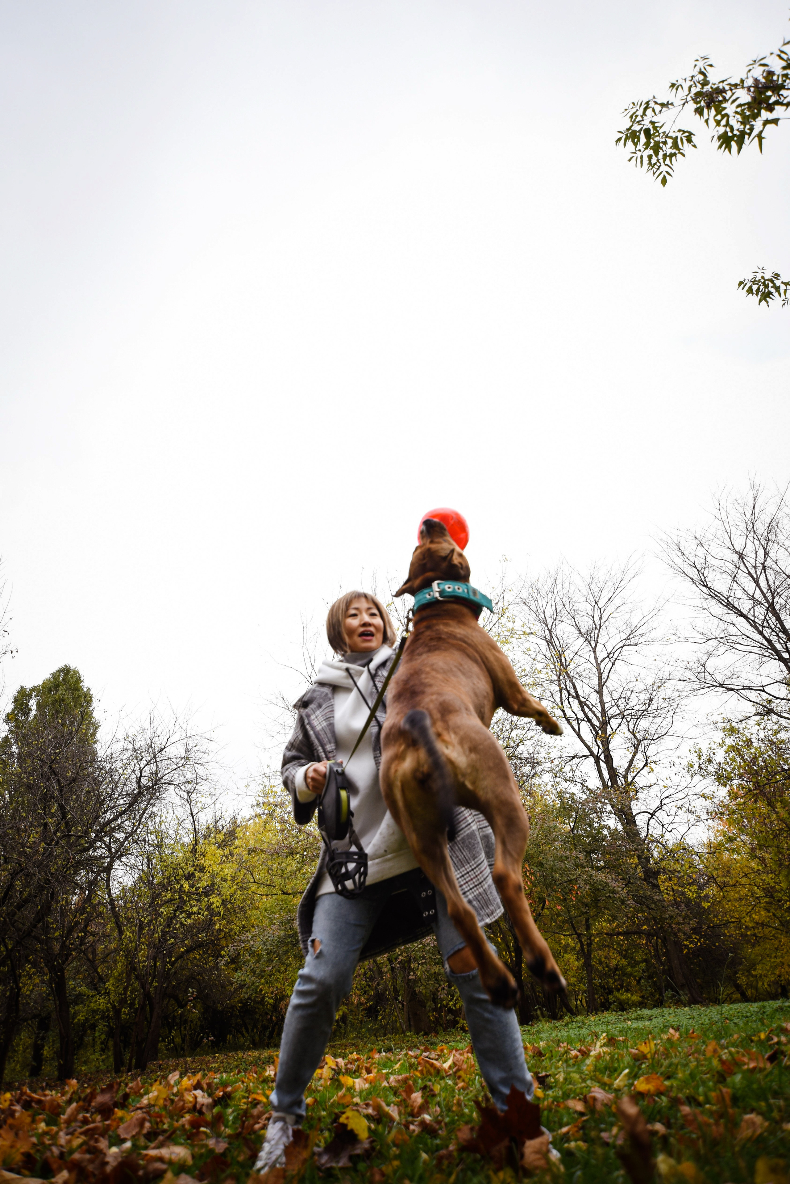 Съемка на природе. Фотопрогулка с животными. Женский и семейный фотограф Людмила Богачкина