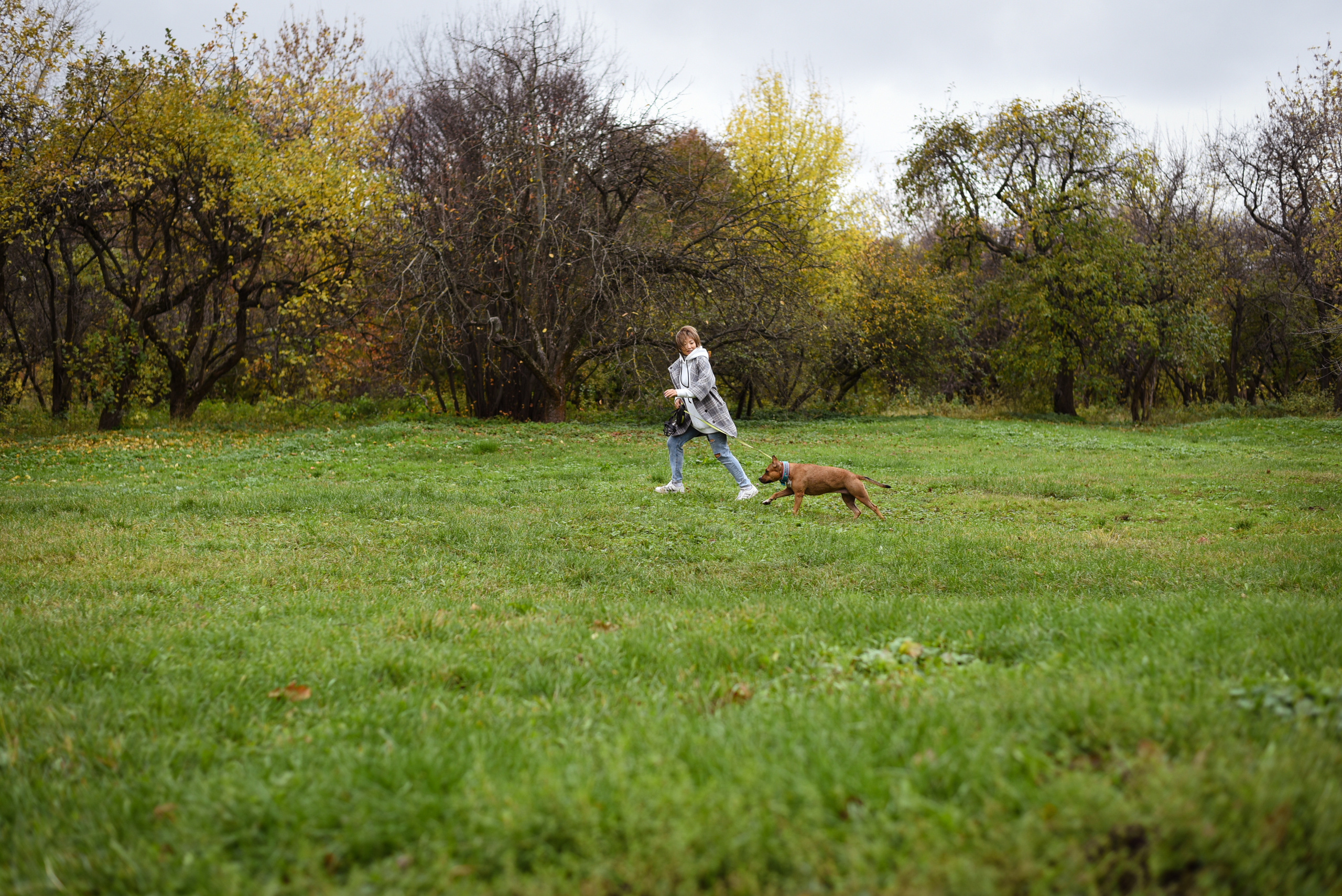 Съемка на природе. Фотопрогулка с животными. Женский и семейный фотограф Людмила Богачкина