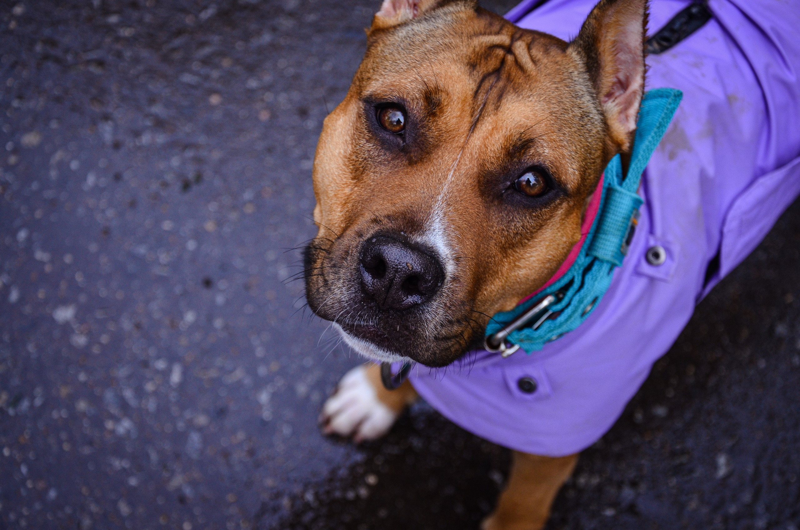 Съемка на природе. Фотопрогулка с животными. Женский и семейный фотограф Людмила Богачкина
