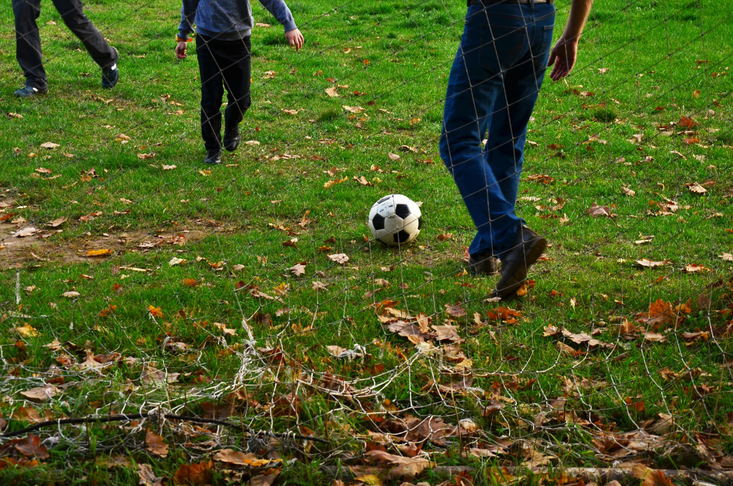 Семейная съемка в парке. В движении. Женский и семейный фотограф Людмила Богачкина