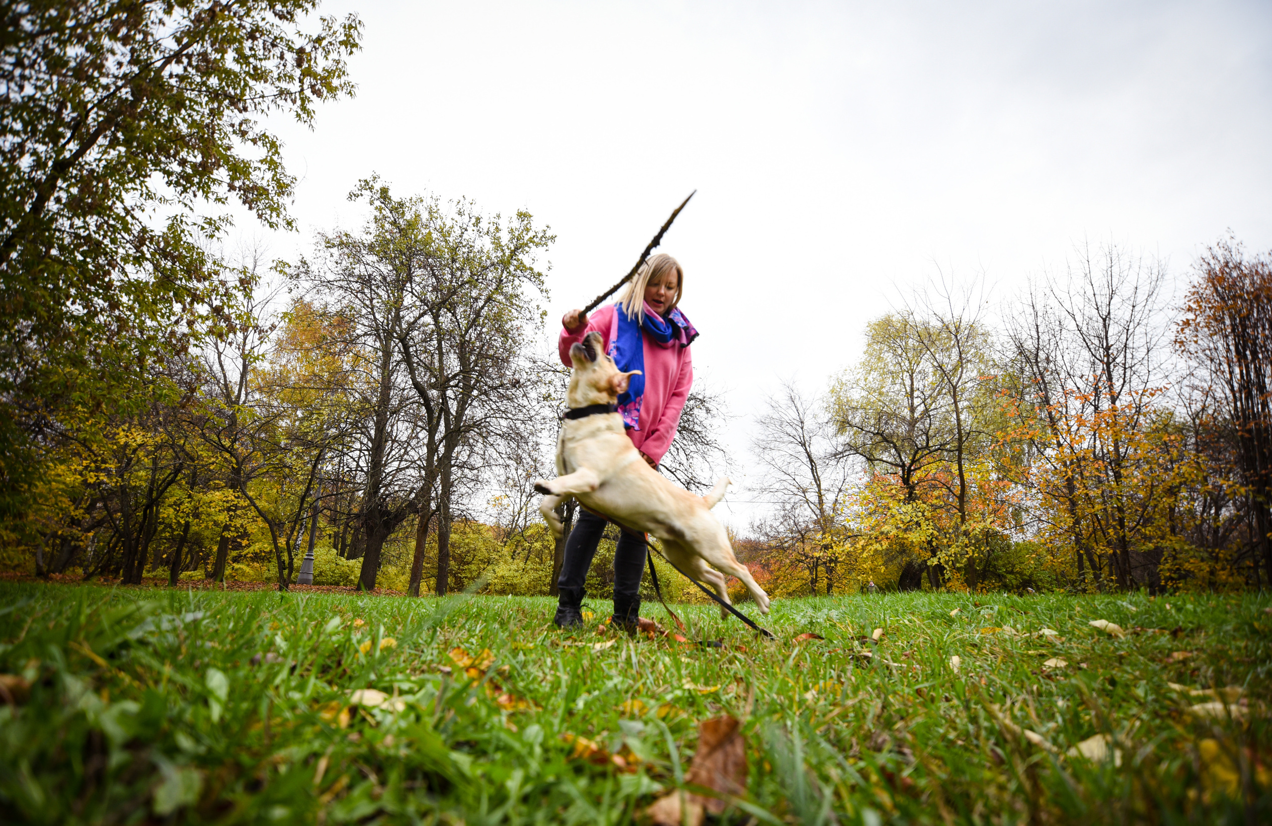 Фотопрогулка в парке с животными. Женский и семейный фотограф Людмила Богачкина