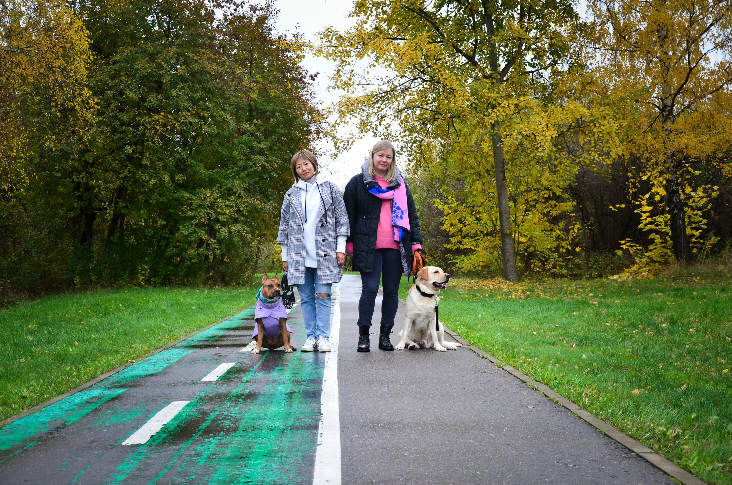 Съемка на природе. Фотопрогулка с животными. Женский и семейный фотограф Людмила Богачкина