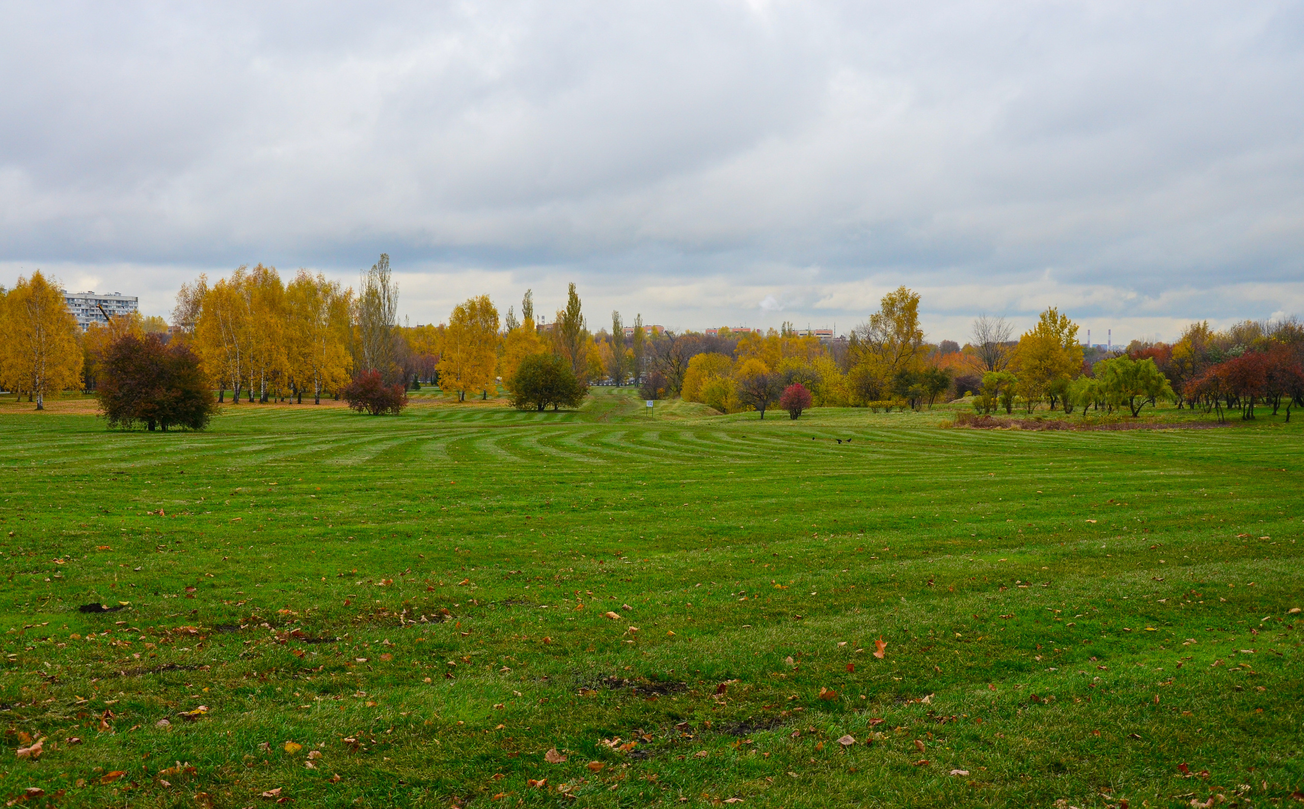 Съемка на природе. Фотопрогулка с животными. Женский и семейный фотограф Людмила Богачкина