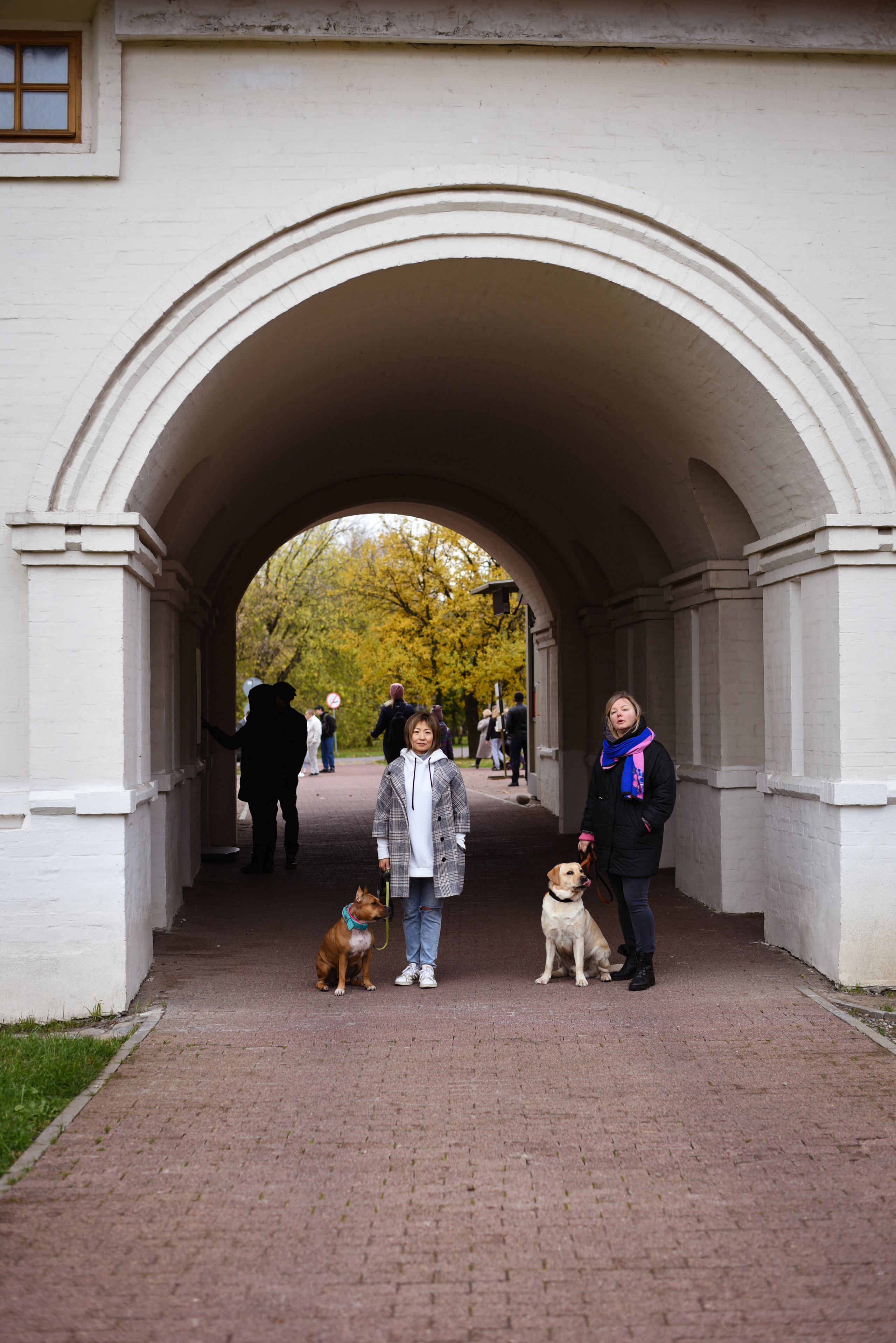 Съемка на природе. Фотопрогулка с животными. Женский и семейный фотограф Людмила Богачкина