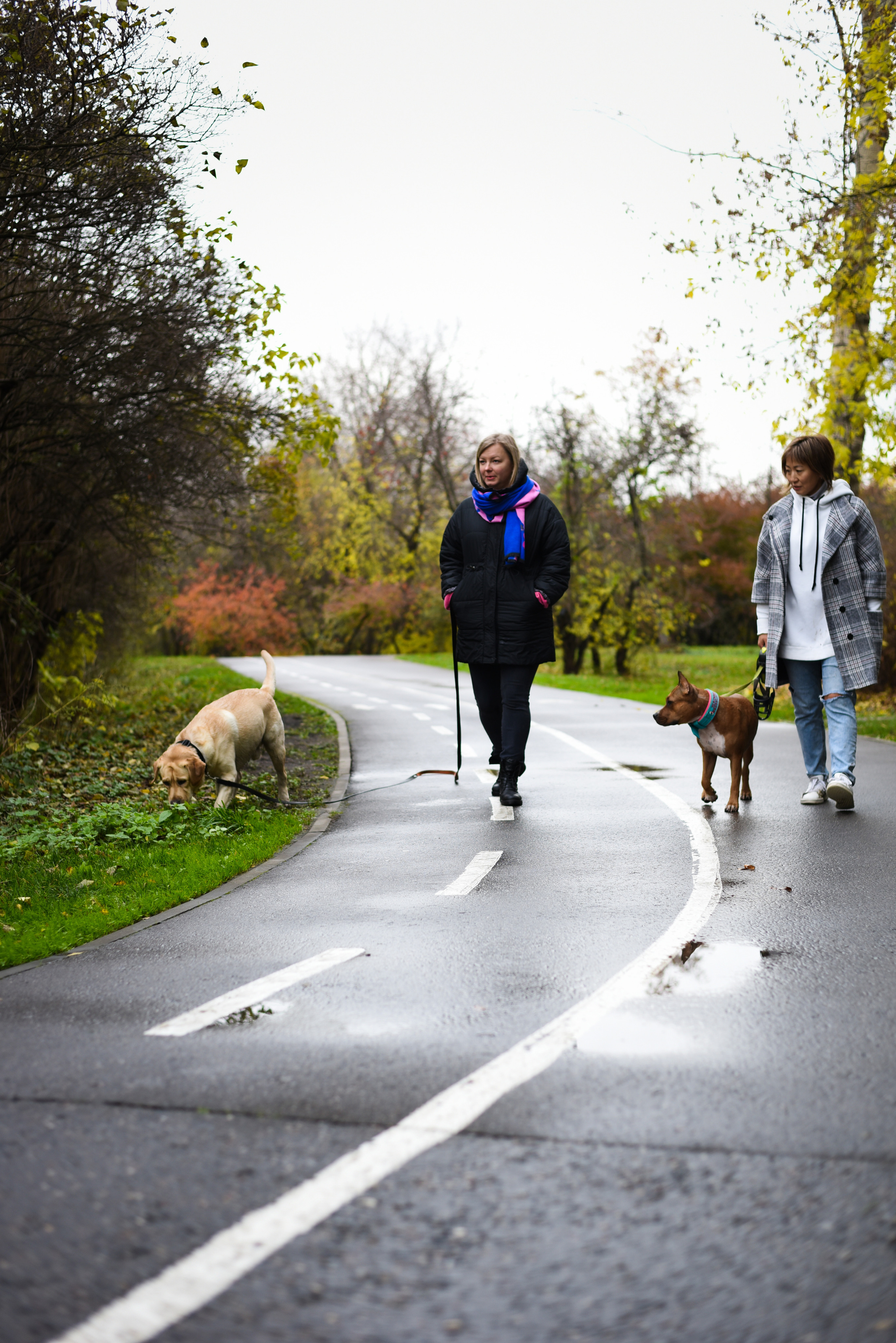 Съемка на природе. Фотопрогулка с животными. Женский и семейный фотограф Людмила Богачкина