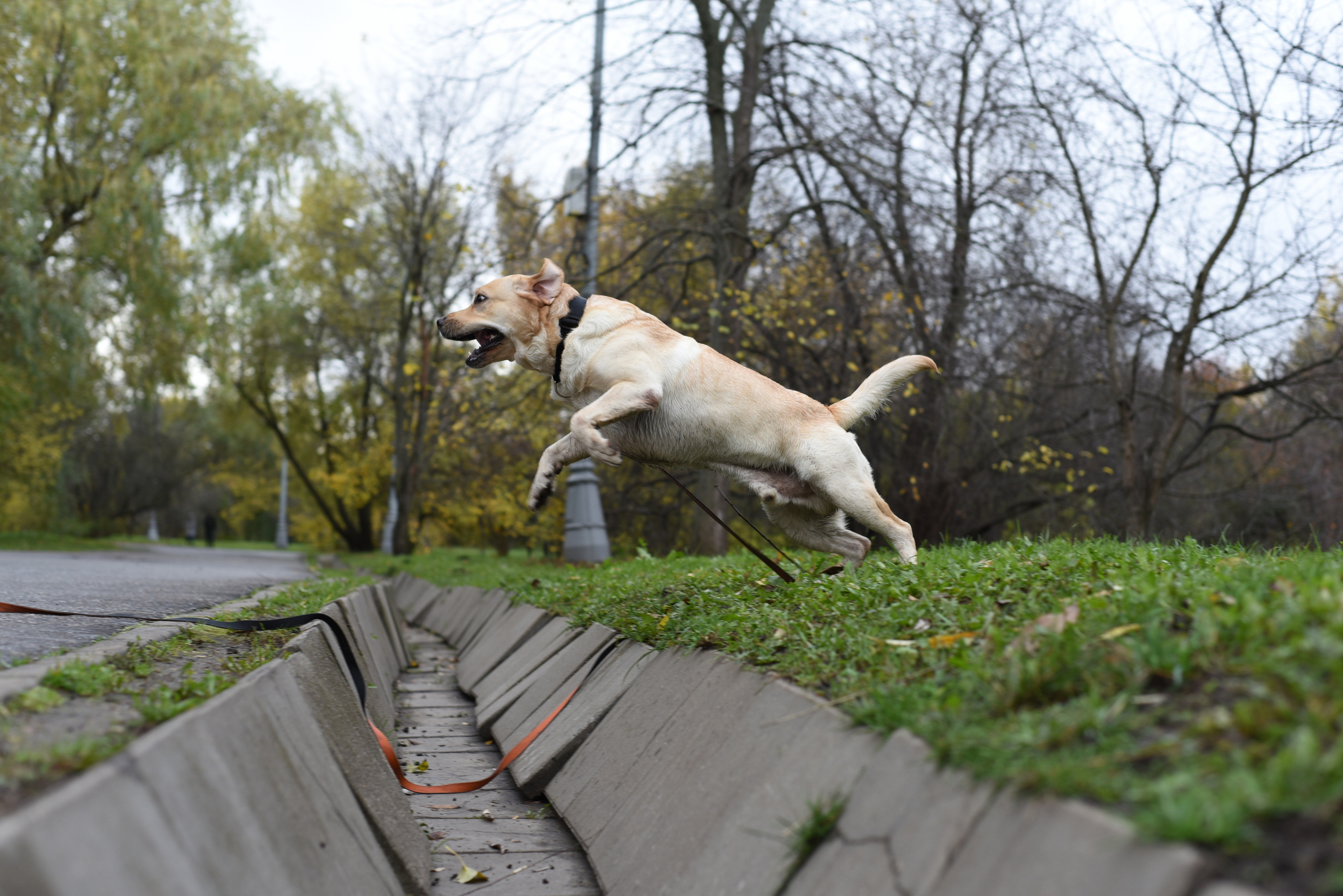 Фотопрогулка в парке с животными. Женский и семейный фотограф Людмила Богачкина