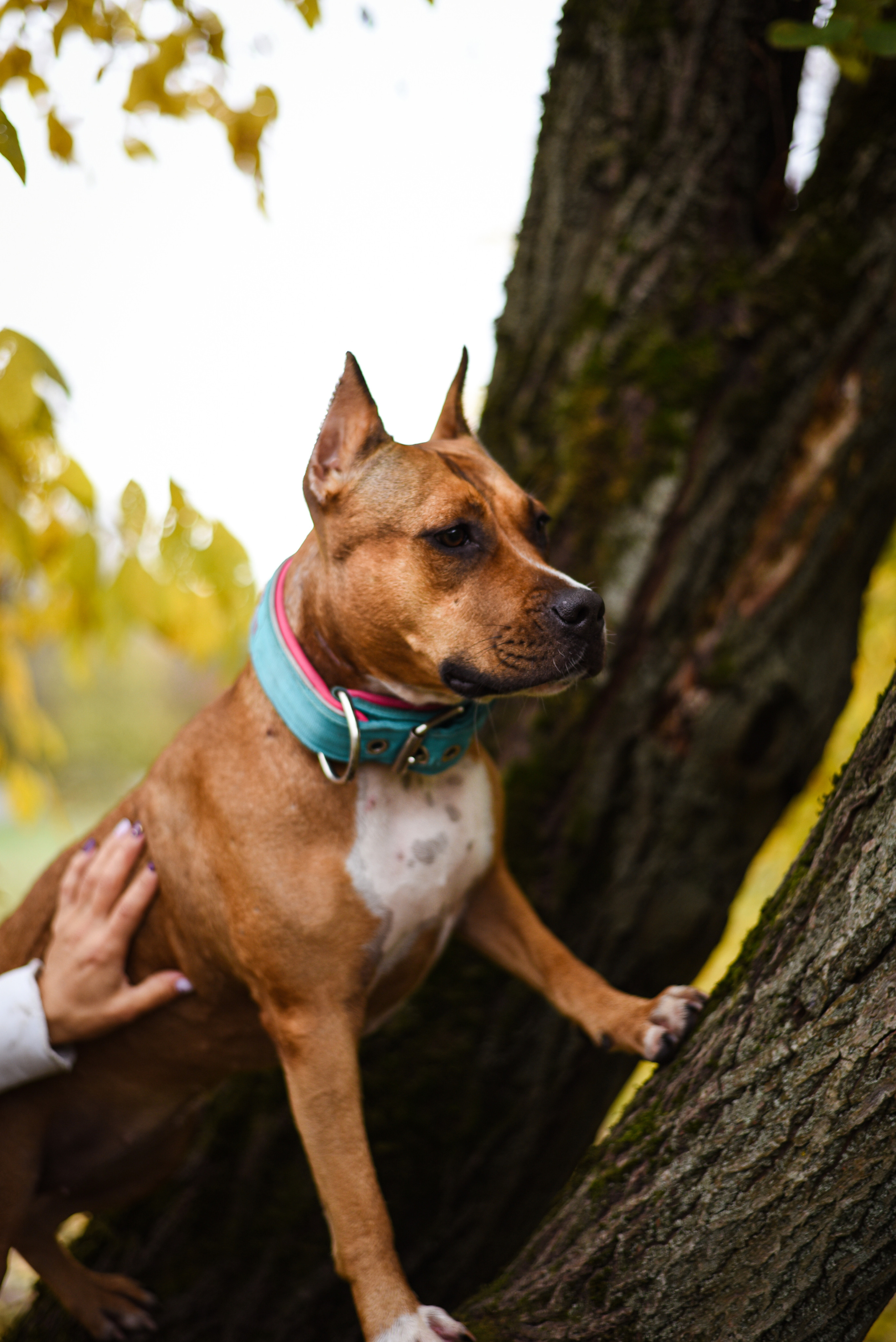 Съемка на природе. Фотопрогулка с животными. Женский и семейный фотограф Людмила Богачкина