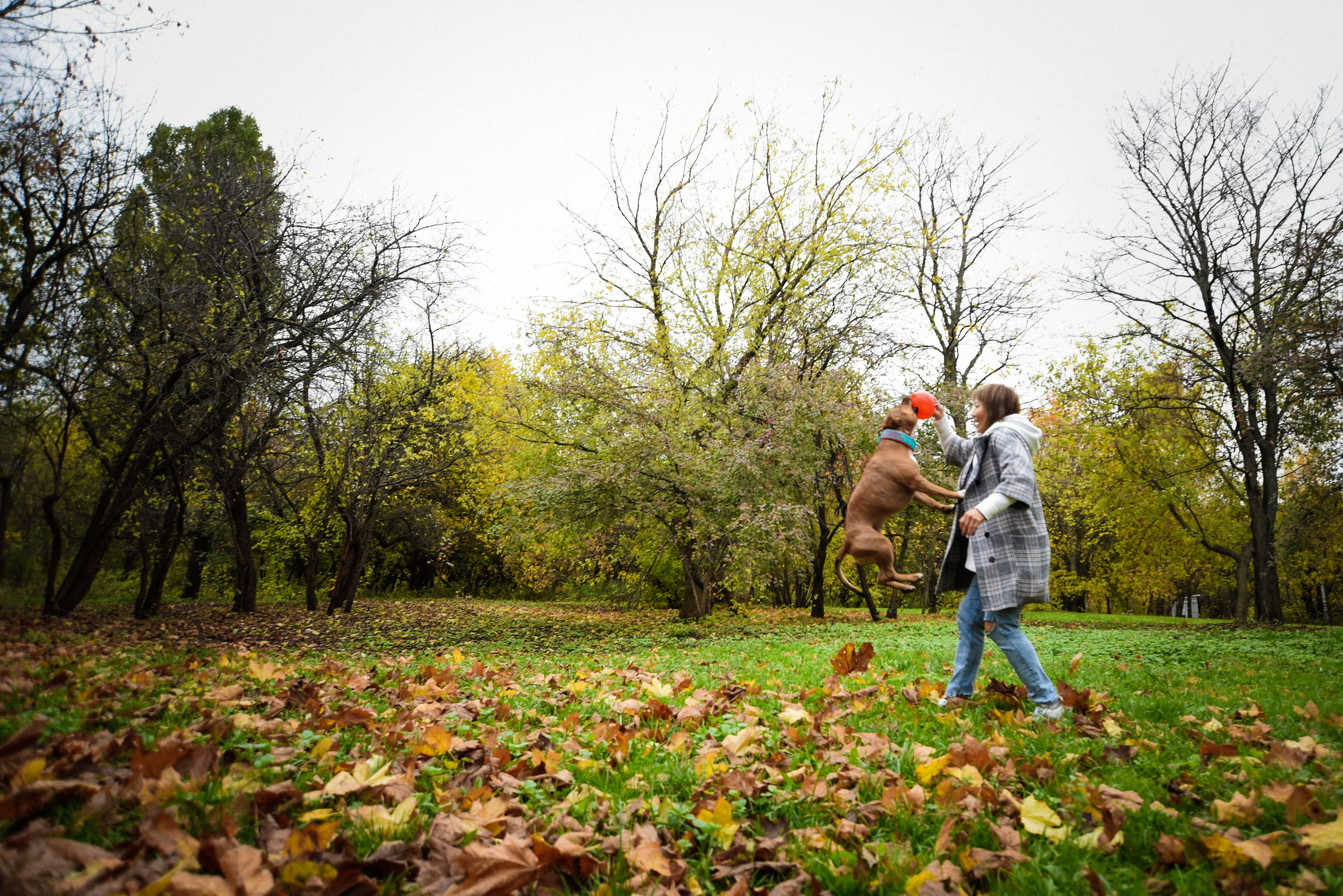 Съемка на природе. Фотопрогулка с животными. Женский и семейный фотограф Людмила Богачкина