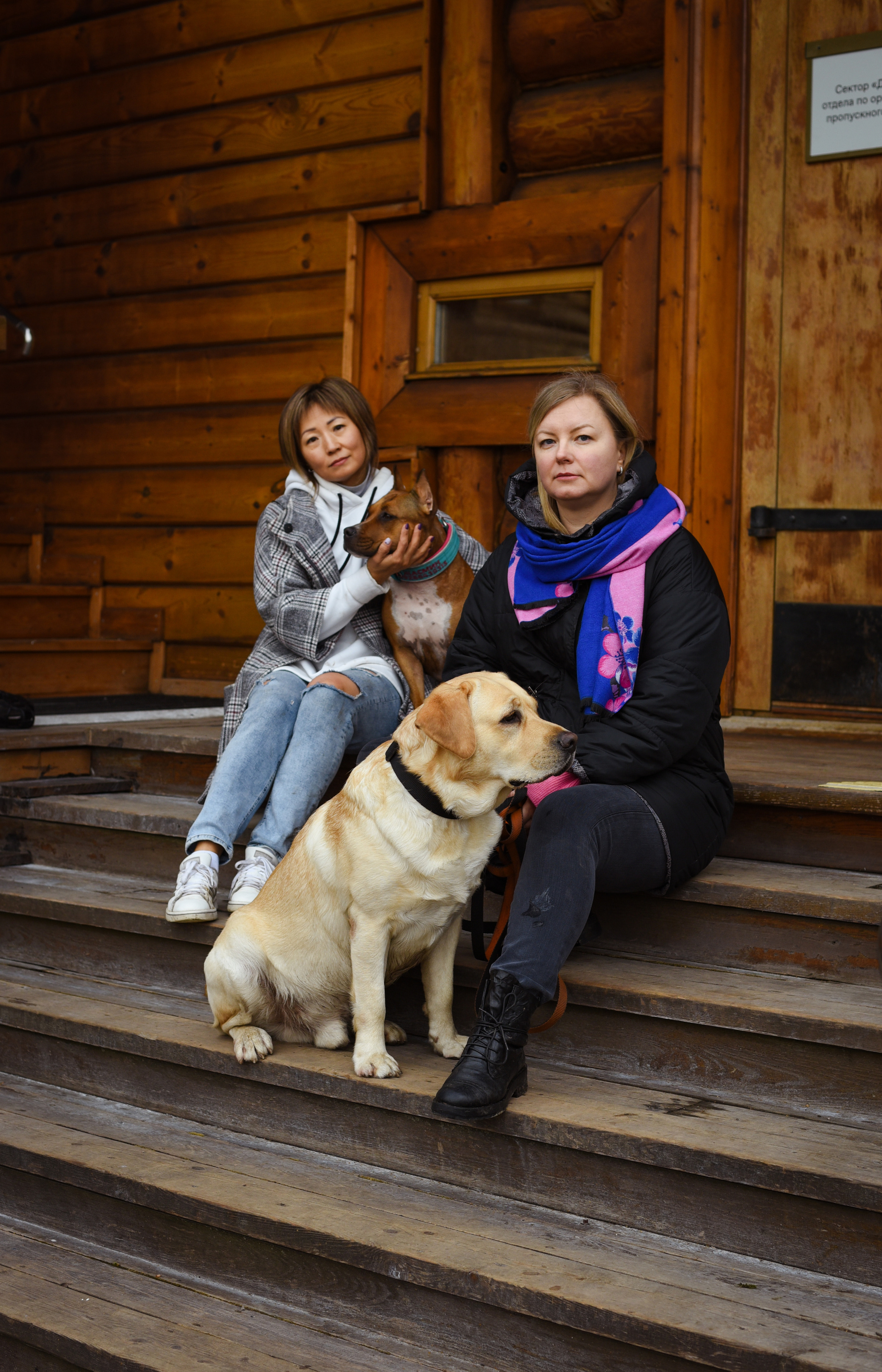 Съемка на природе. Фотопрогулка с животными. Женский и семейный фотограф Людмила Богачкина