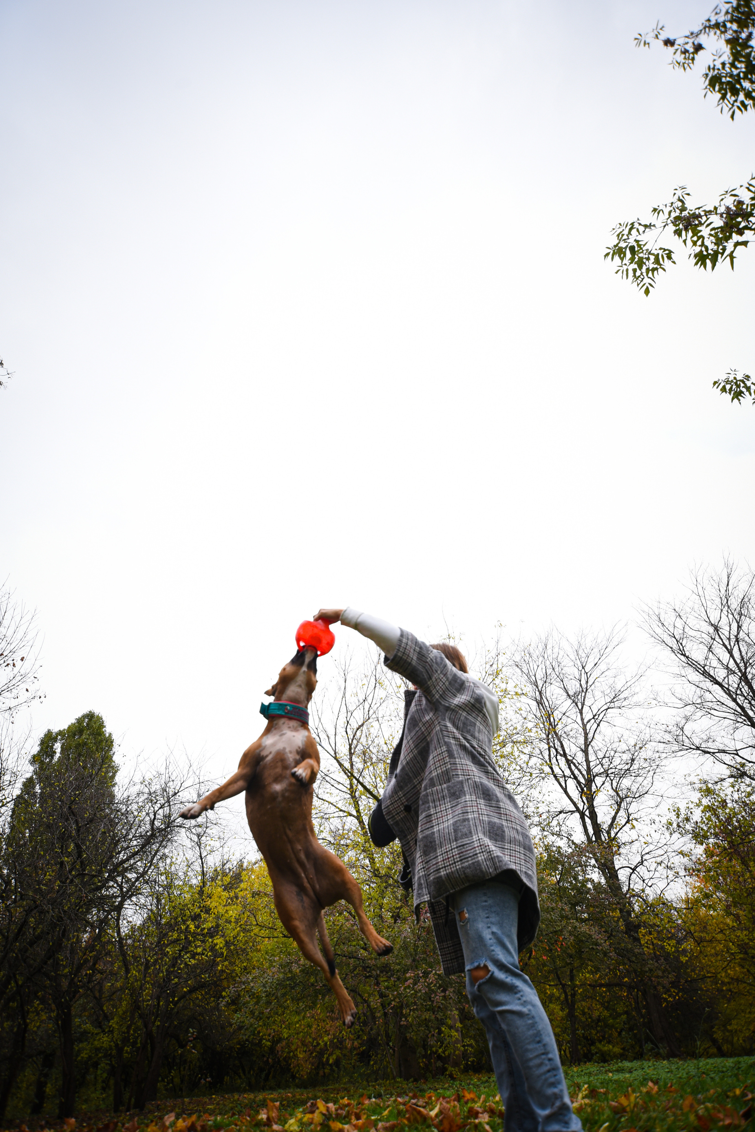 Съемка на природе. Фотопрогулка с животными. Женский и семейный фотограф Людмила Богачкина