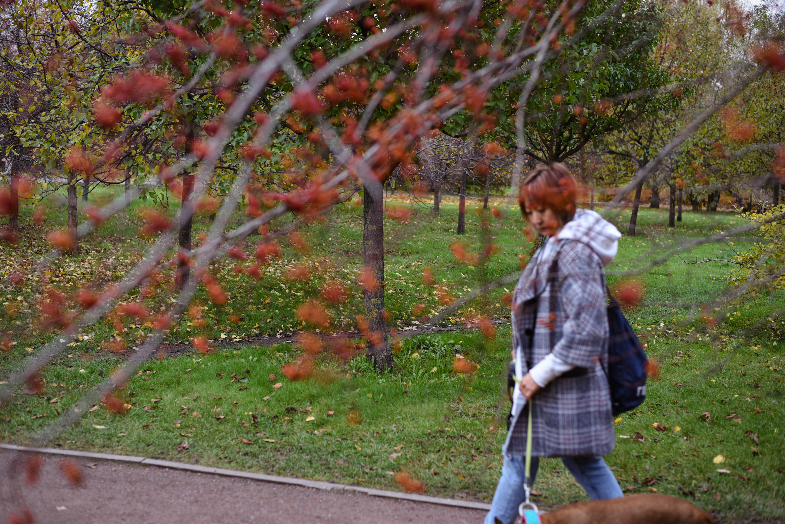 Съемка на природе. Фотопрогулка с животными. Женский и семейный фотограф Людмила Богачкина