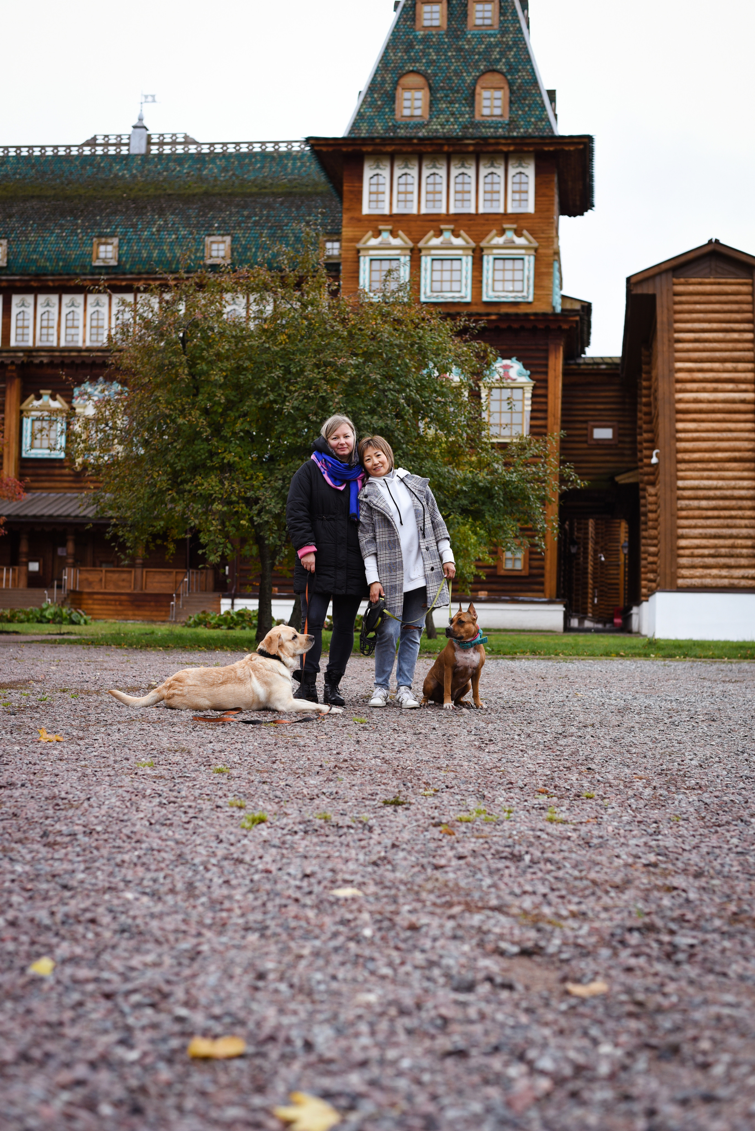 Съемка на природе. Фотопрогулка с животными. Женский и семейный фотограф Людмила Богачкина