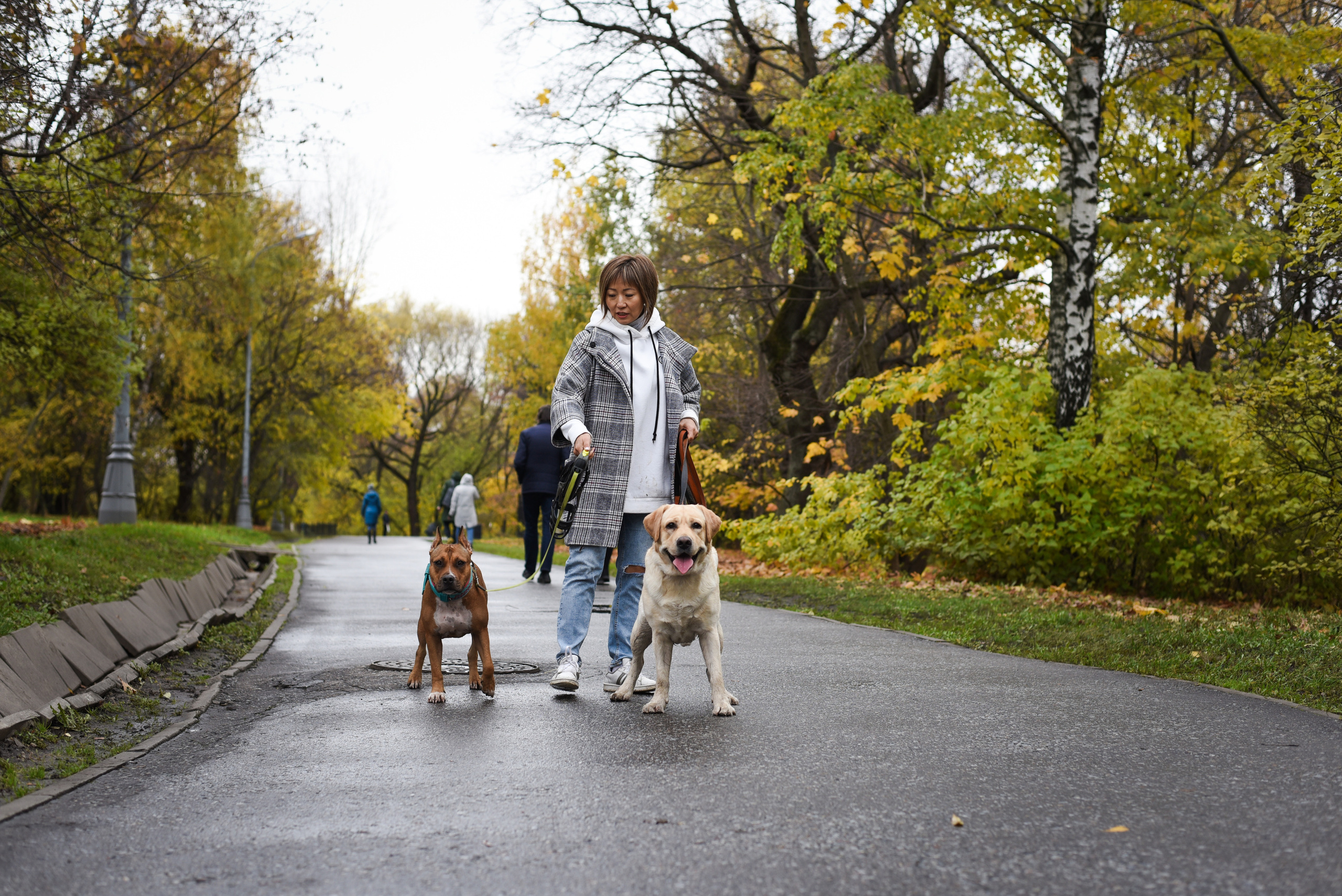 Съемка на природе. Фотопрогулка с животными. Женский и семейный фотограф Людмила Богачкина