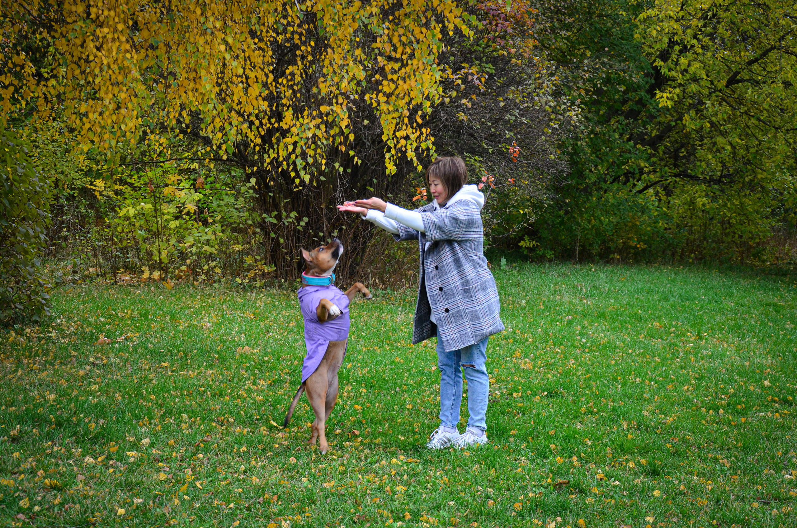 Съемка на природе. Фотопрогулка с животными. Женский и семейный фотограф Людмила Богачкина