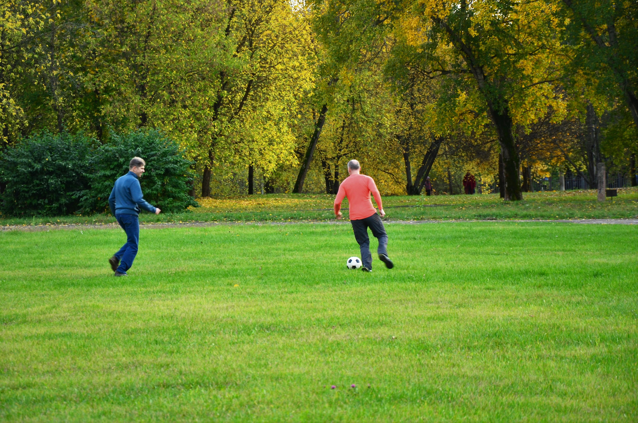Семейная съемка в парке. В движении. Женский и семейный фотограф Людмила Богачкина