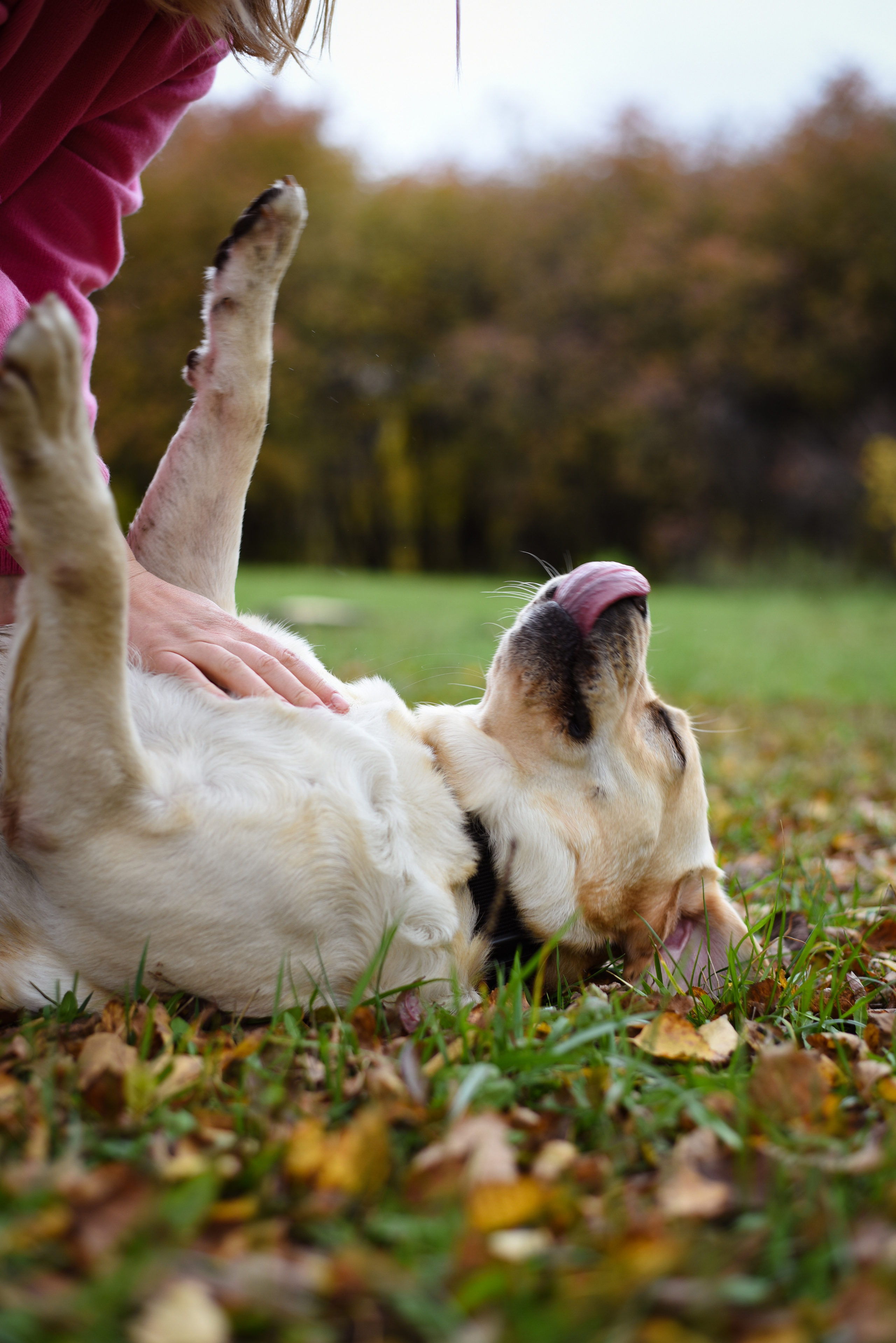 Фотопрогулка. Женский и семейный фотограф Людмила Богачкина