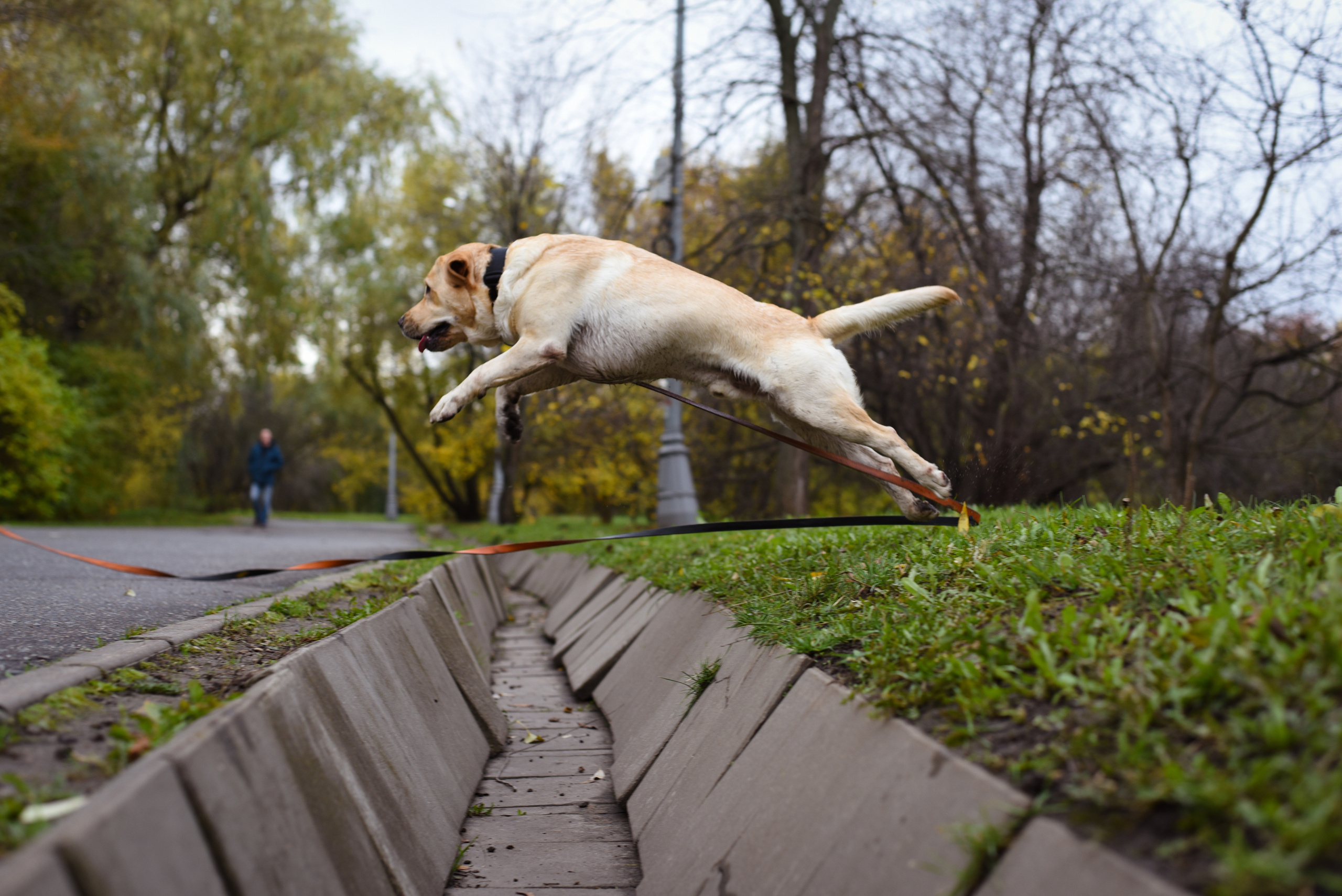 Фотопрогулка в парке с животными. Женский и семейный фотограф Людмила Богачкина