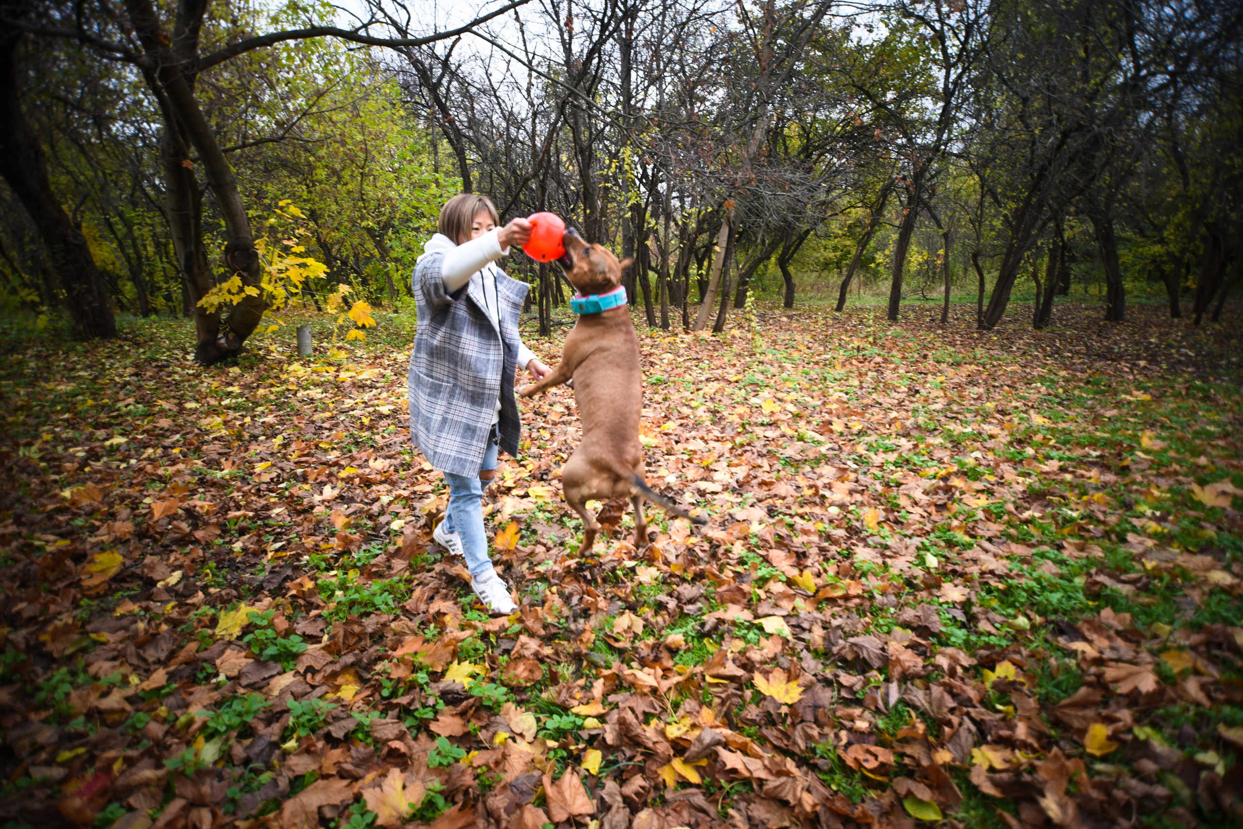 Съемка на природе. Фотопрогулка с животными. Женский и семейный фотограф Людмила Богачкина