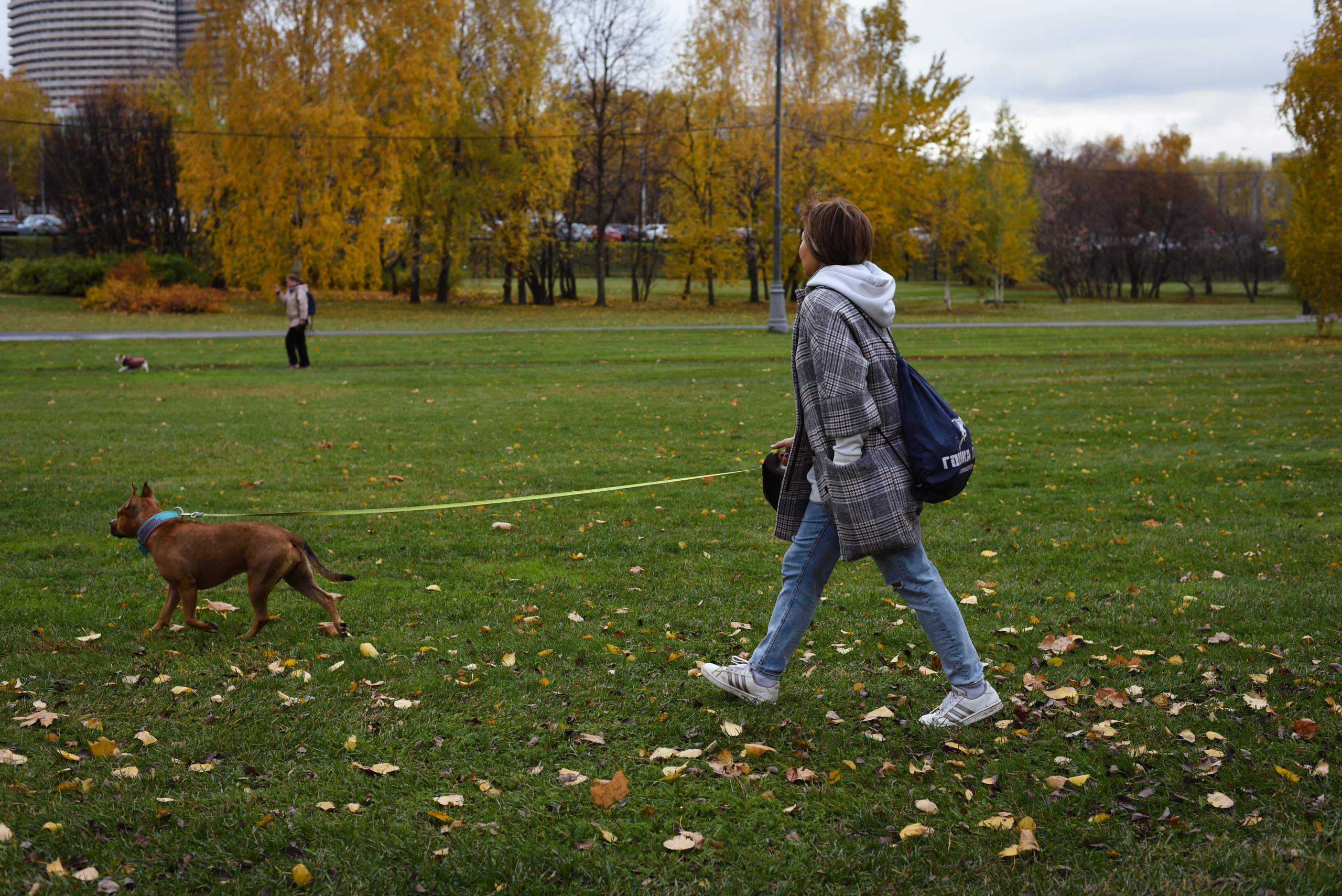 Съемка на природе. Фотопрогулка с животными. Женский и семейный фотограф Людмила Богачкина