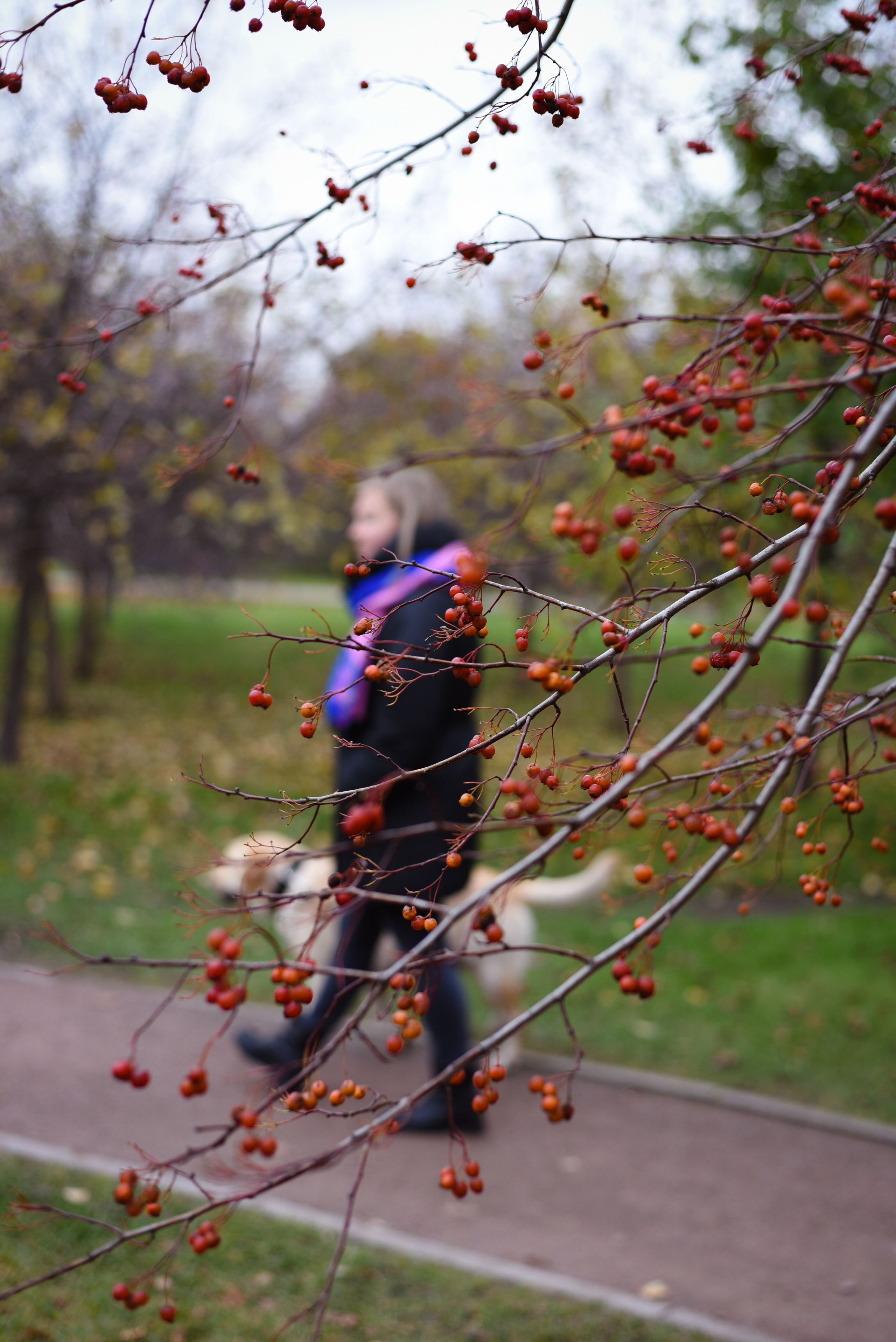 Фотопрогулка в парке с животными. Женский и семейный фотограф Людмила Богачкина