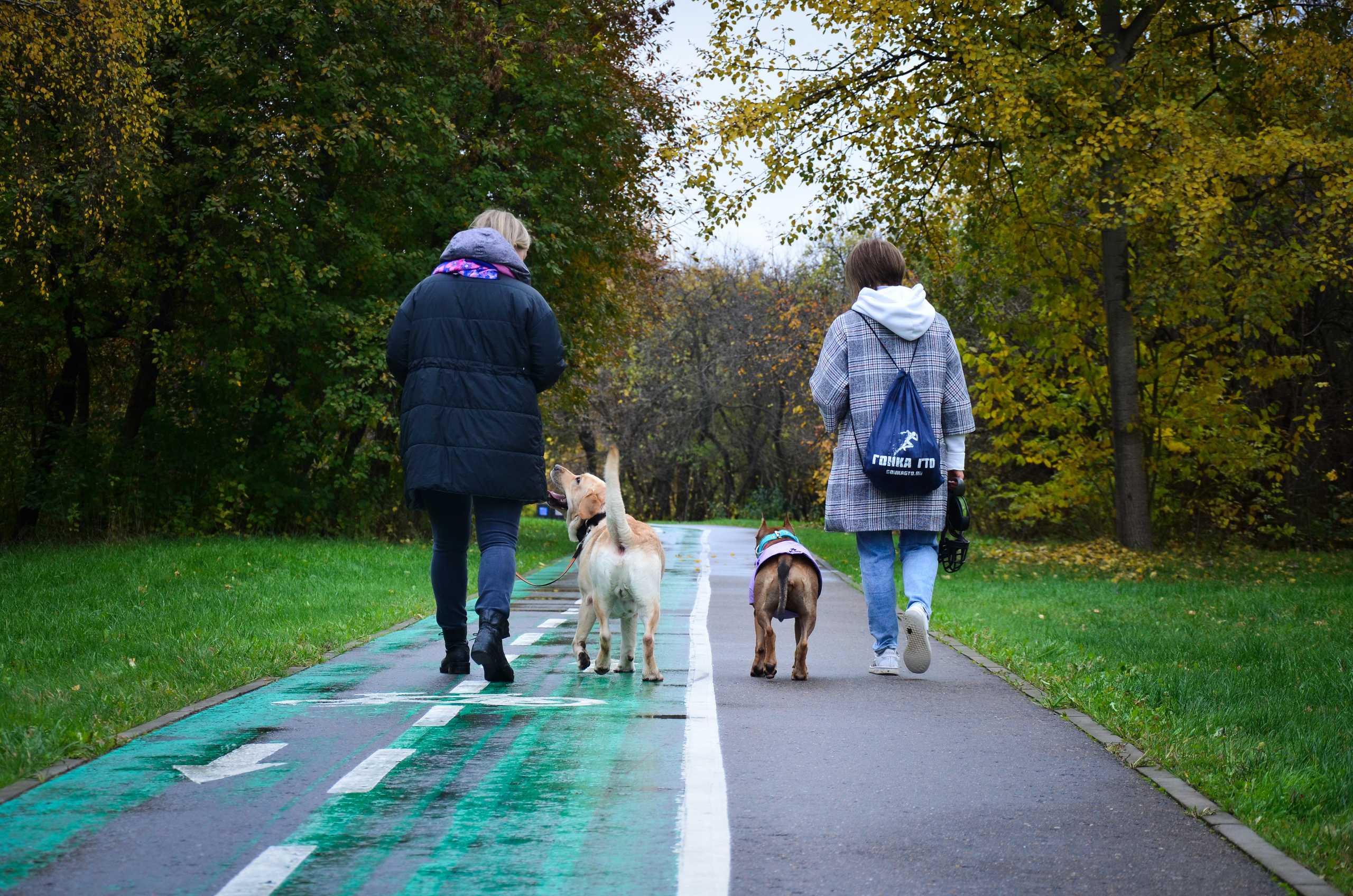Фотопрогулка в парке с животными. Женский и семейный фотограф Людмила Богачкина