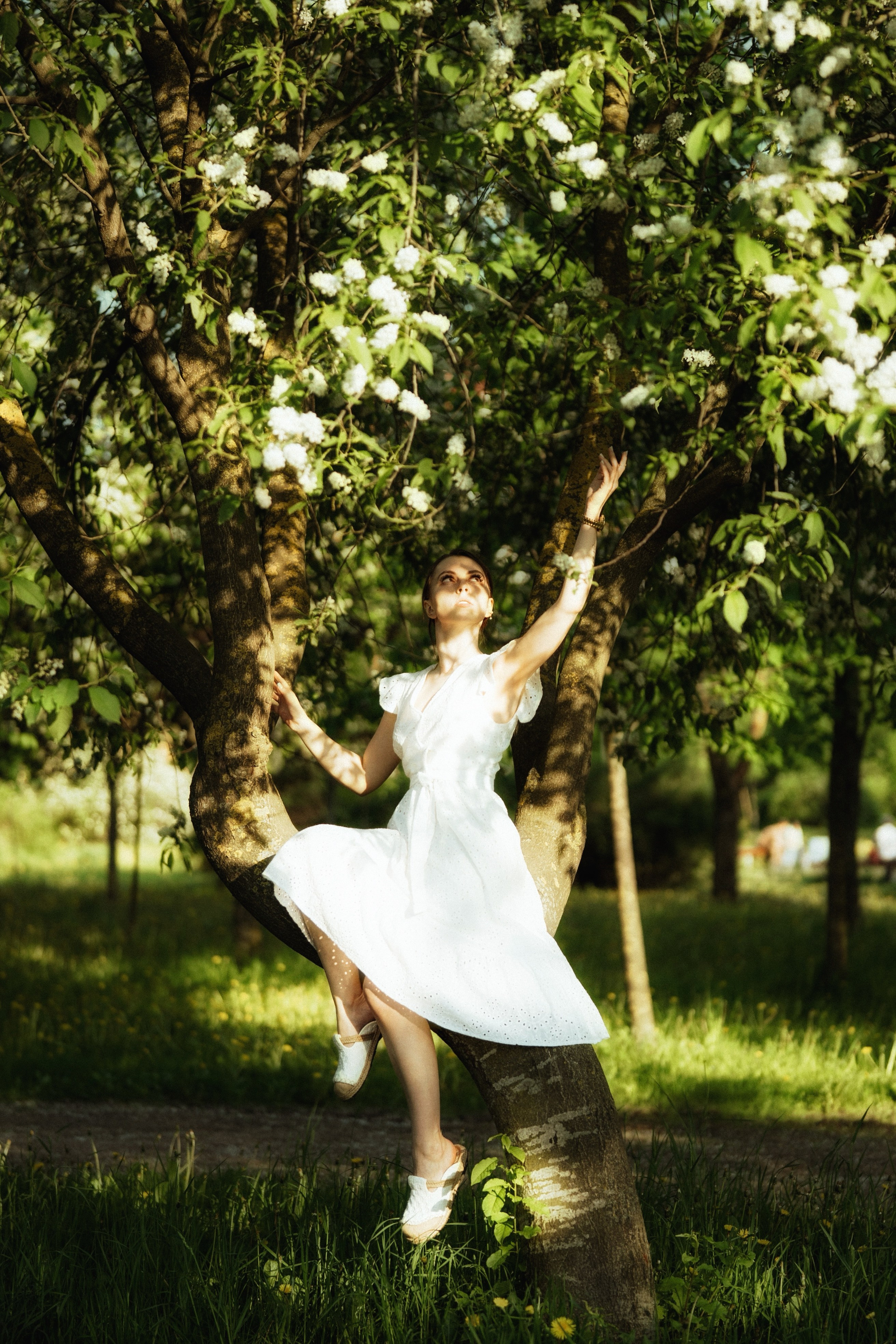 Портфолио. YULIA NOVOSELTSEVA