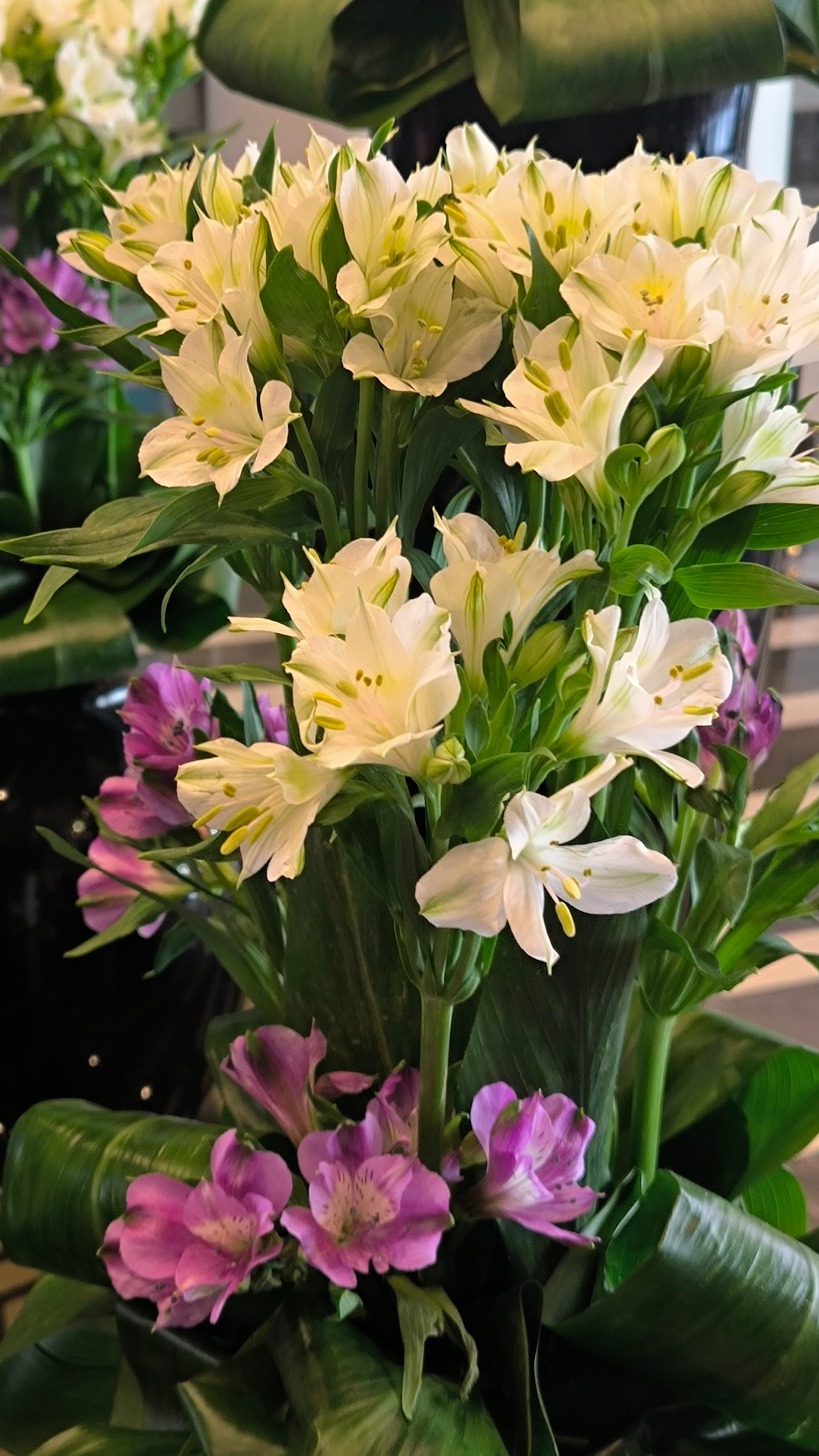 Шарм-Эль-Шейх. Светлана Иванова - профессиональный фотограф