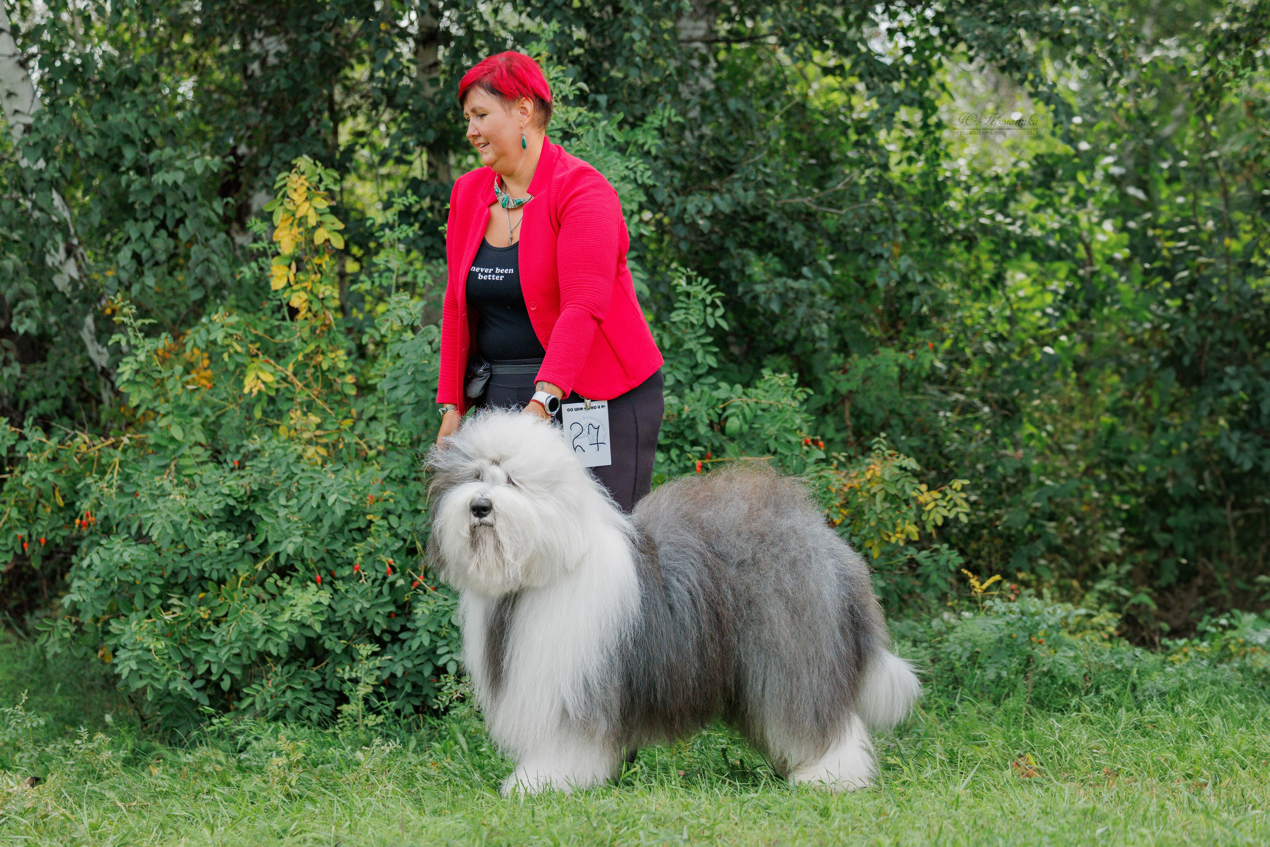 Астана 2хCACIB 17-18.08.2024. Фотограф-анималист Юлия Германика