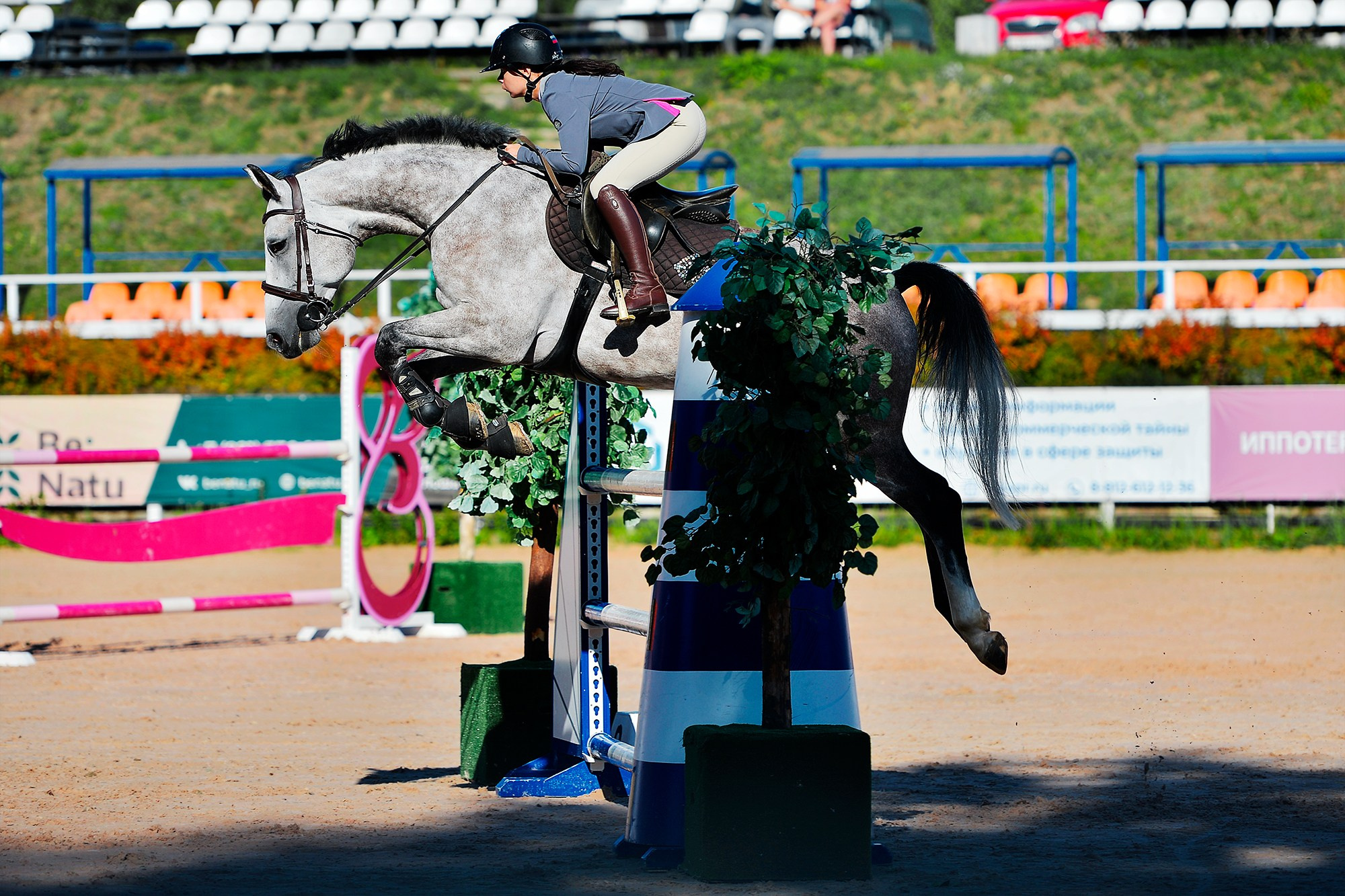 Конкур. Конный фотограф Alesya Safe